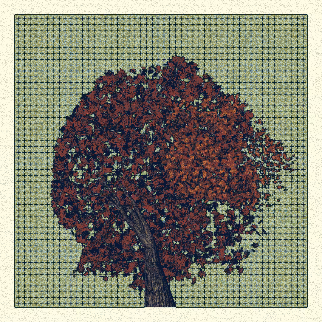 _argania[primaria] #204