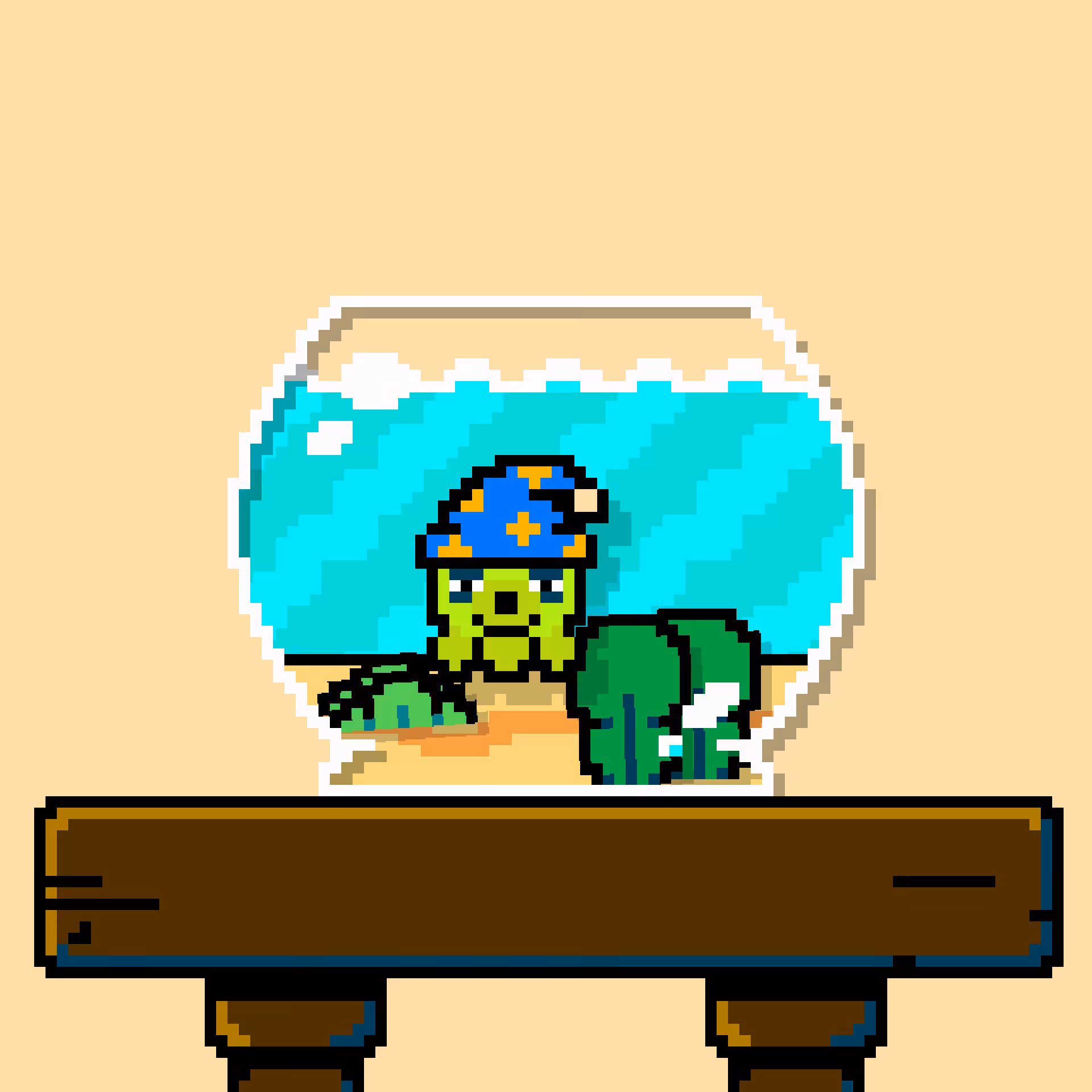 tako #17