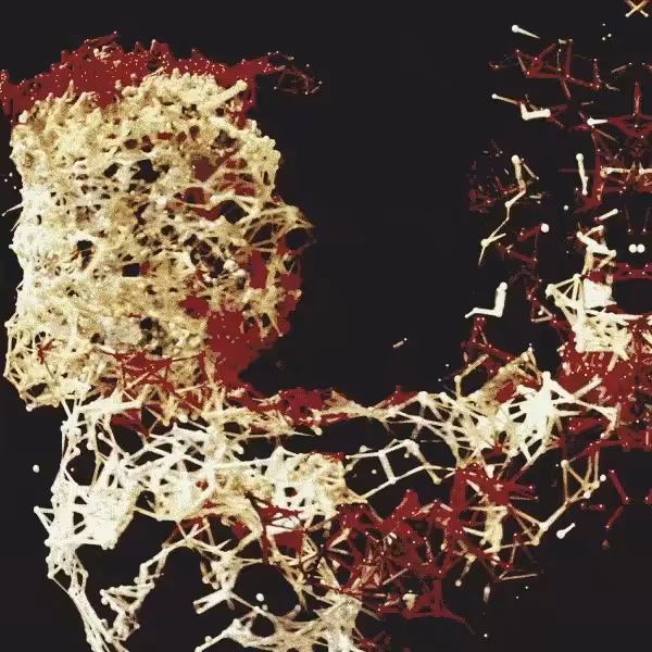 Blood & Bones