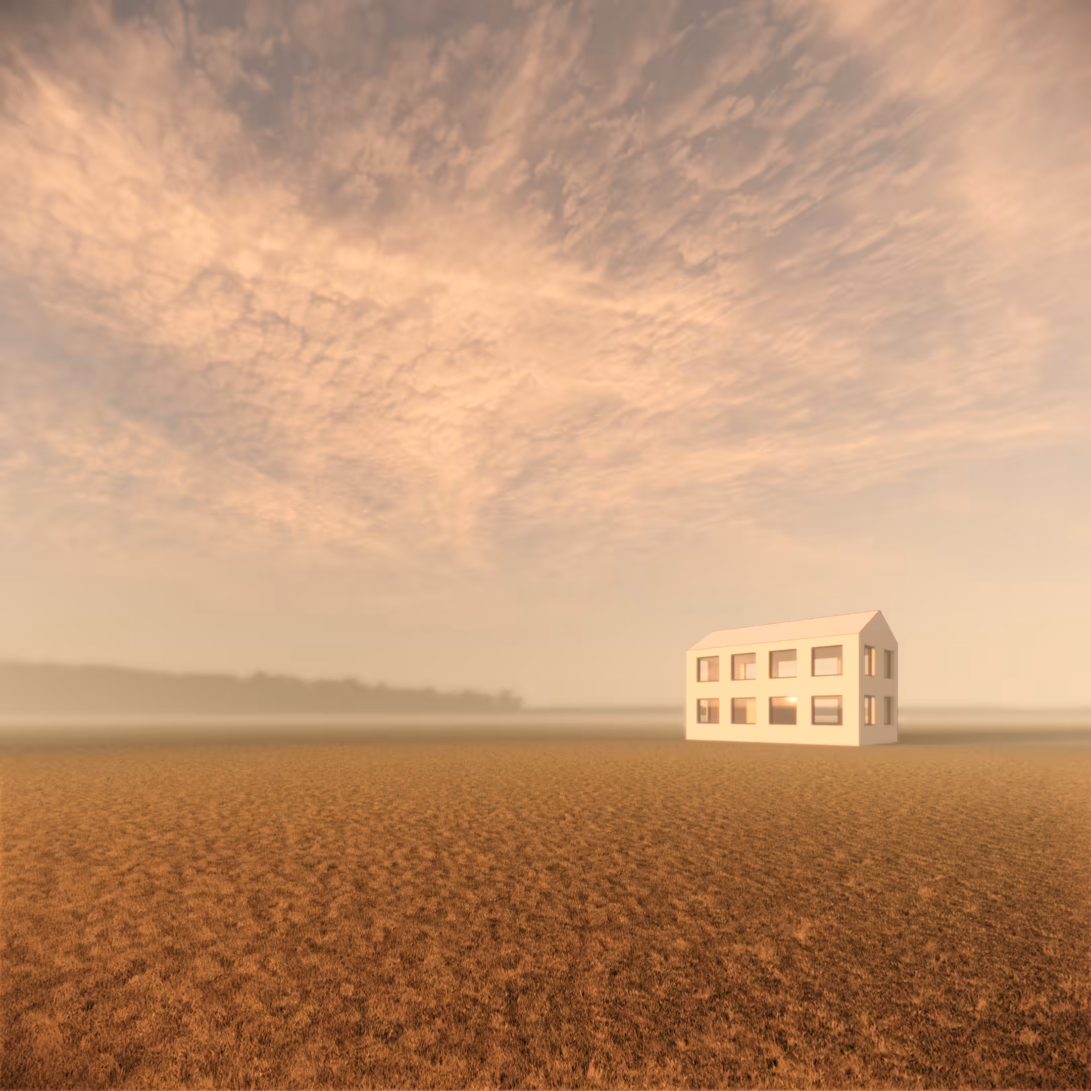 Lonely House