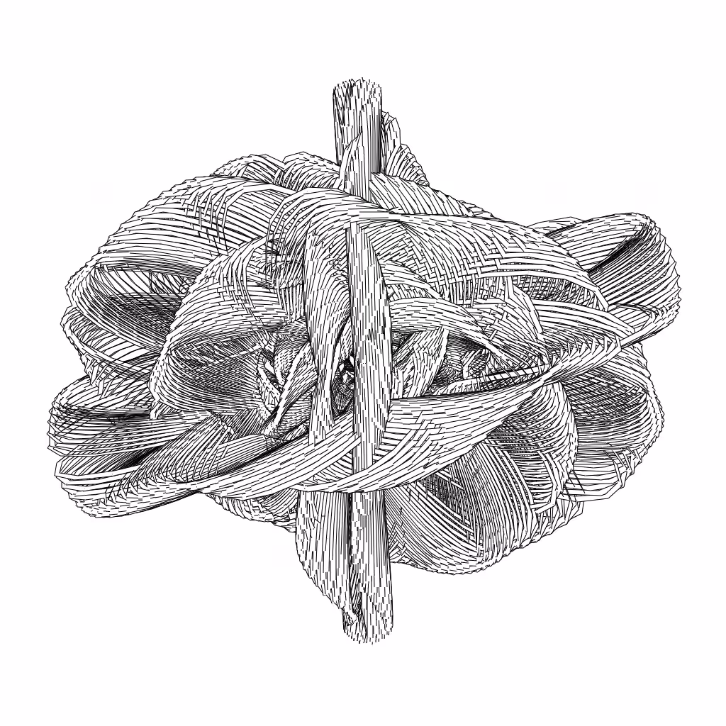 LL21 Entangled (3) #50