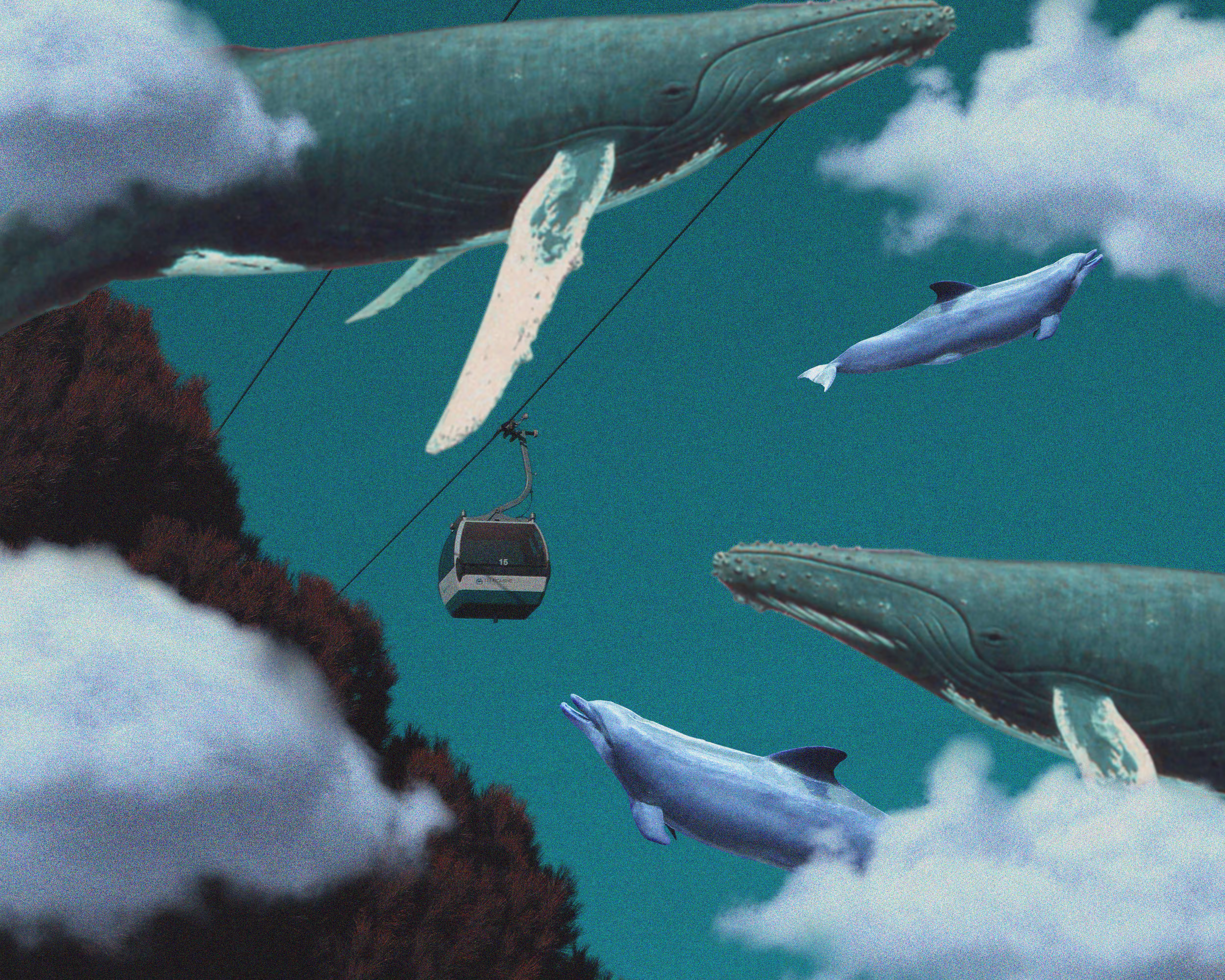 Eternal Dreams 