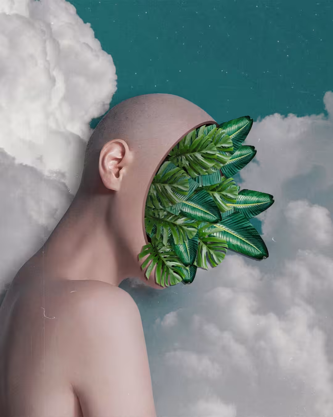nature mind