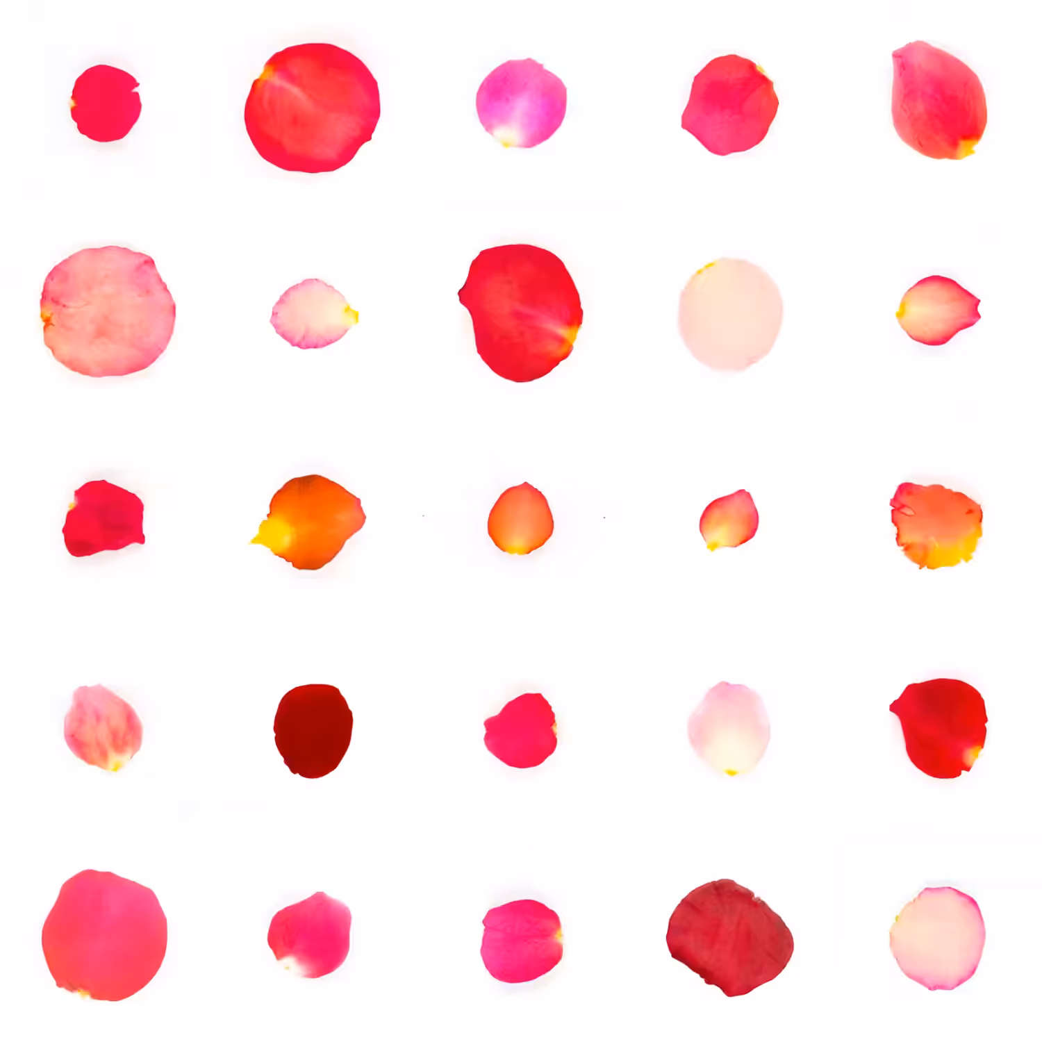 Infinite Petals 5x5#21251