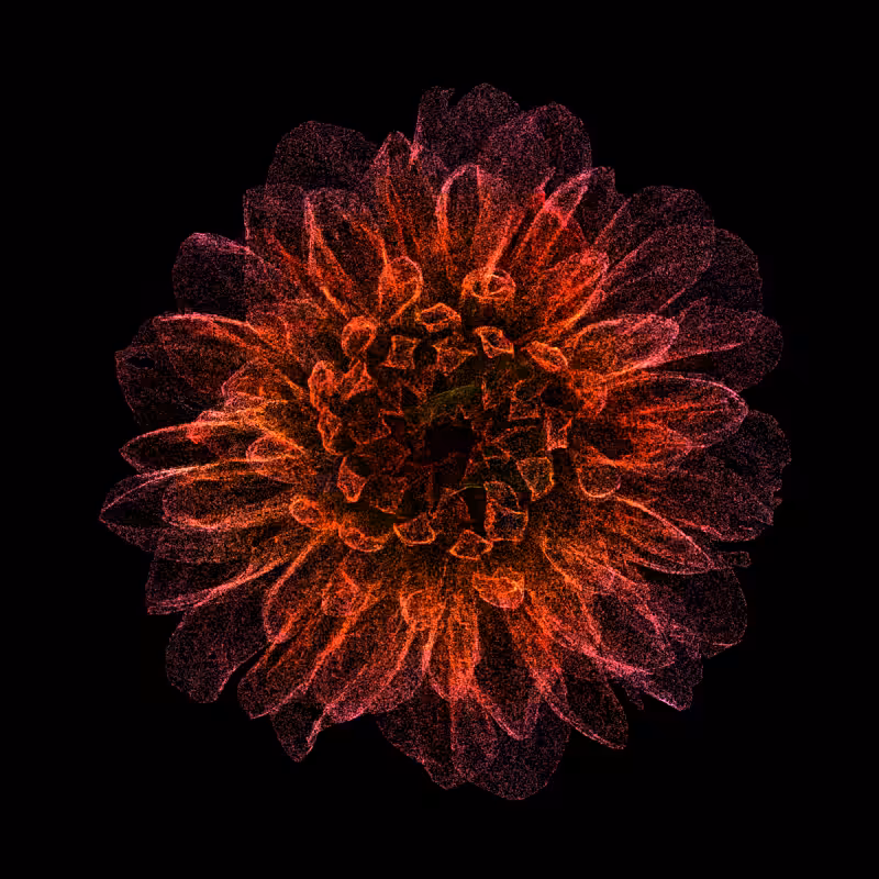 Dahlia Pinnata 30 #256