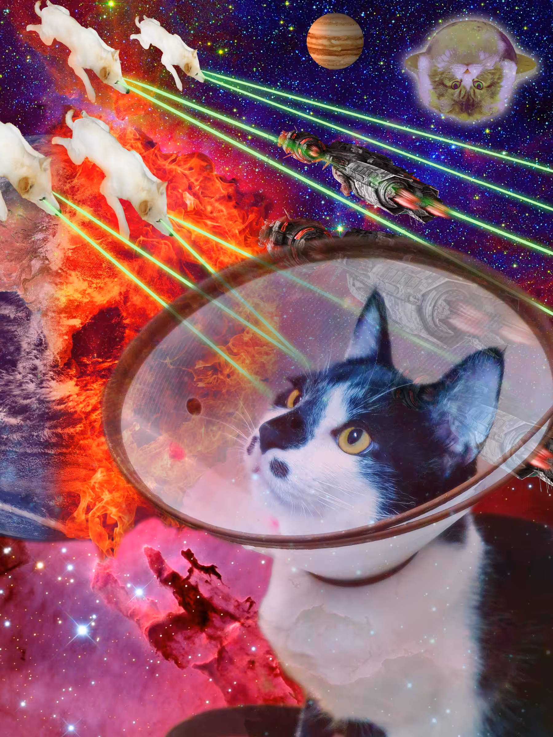 Ｍeow＆doggie,naver end battle.　  
