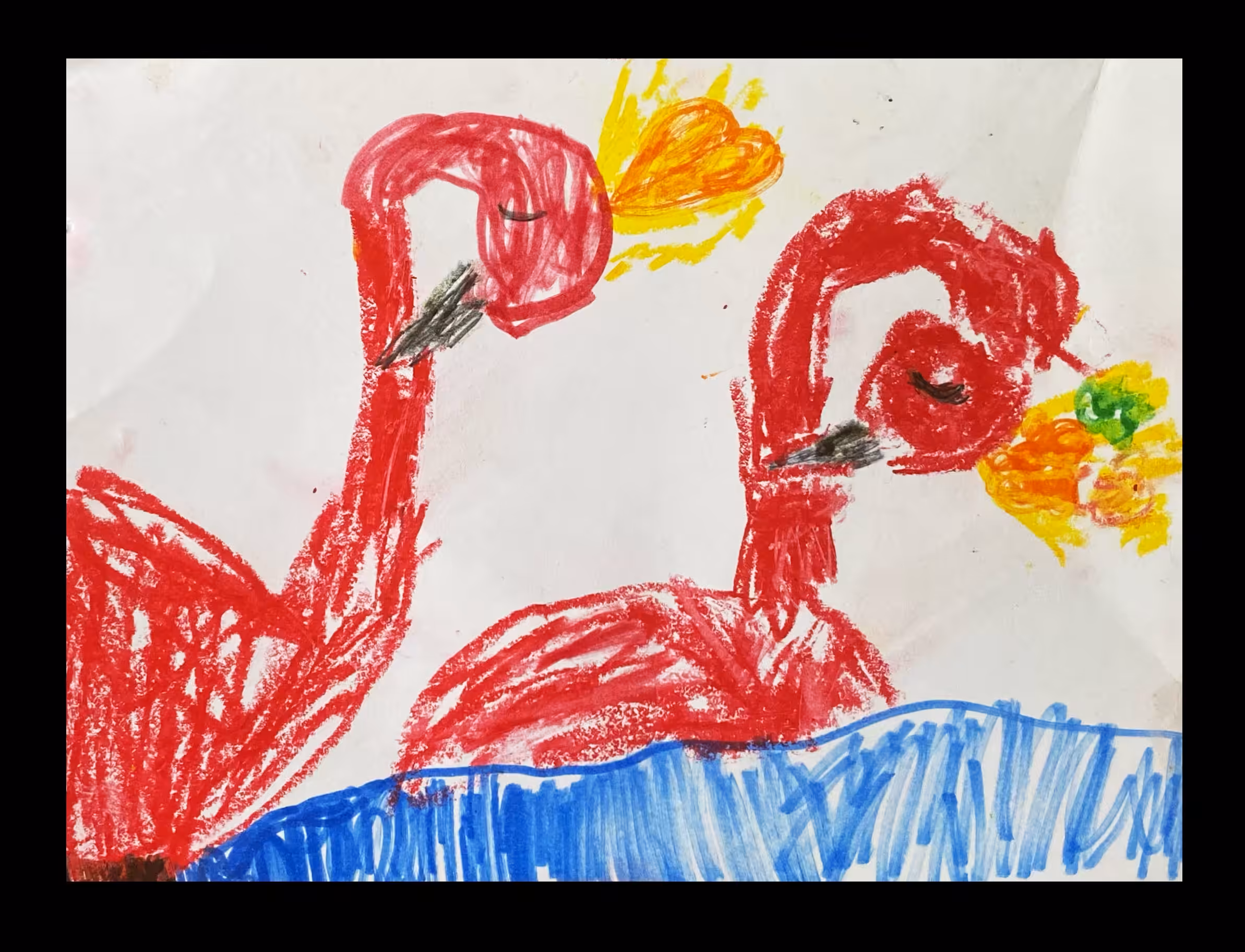 "Flamingos in love"