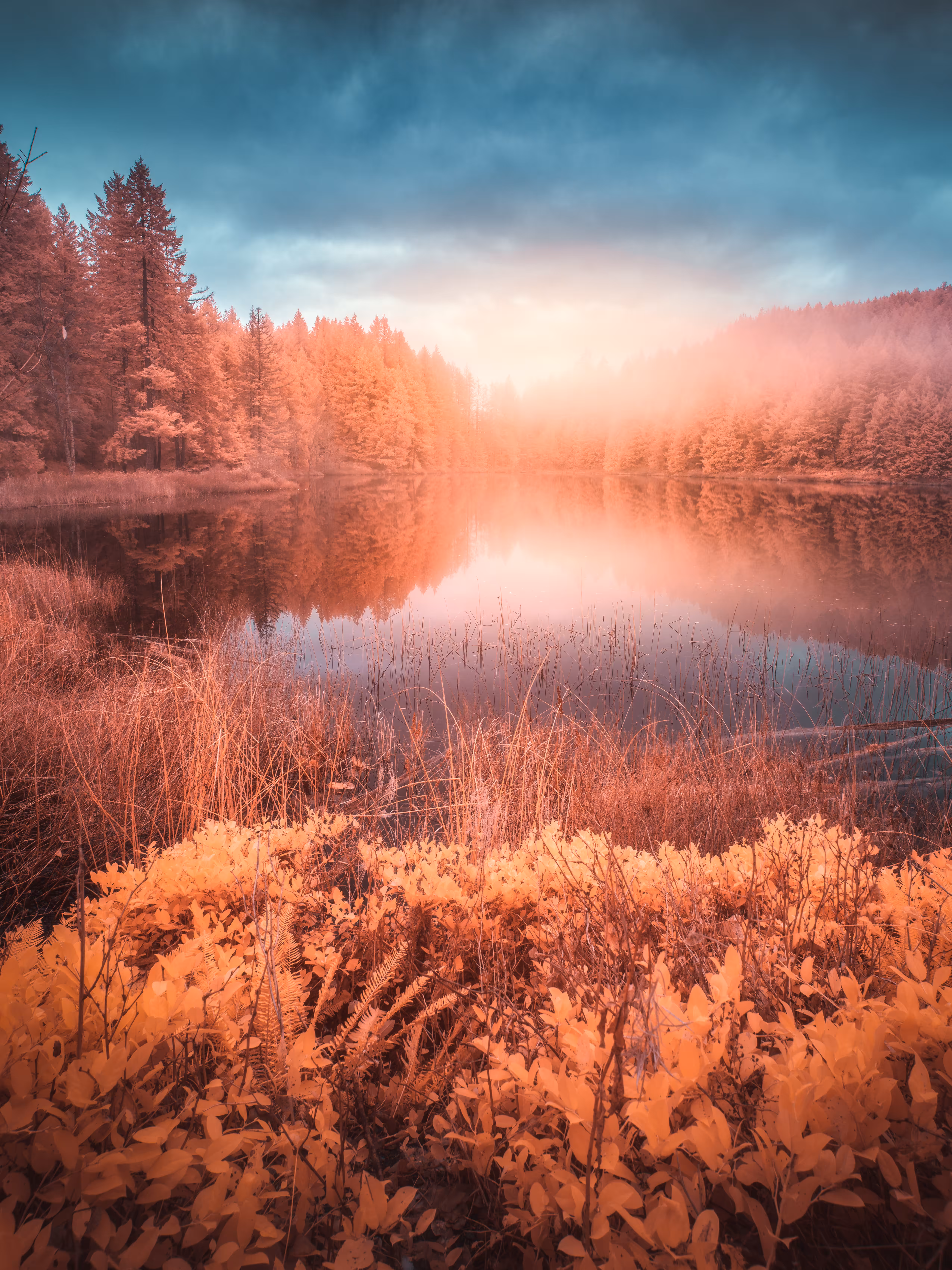 #10. Golden Reflections