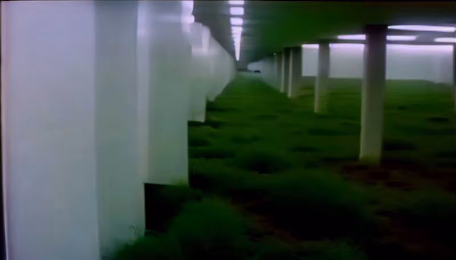 noper - Our company is green