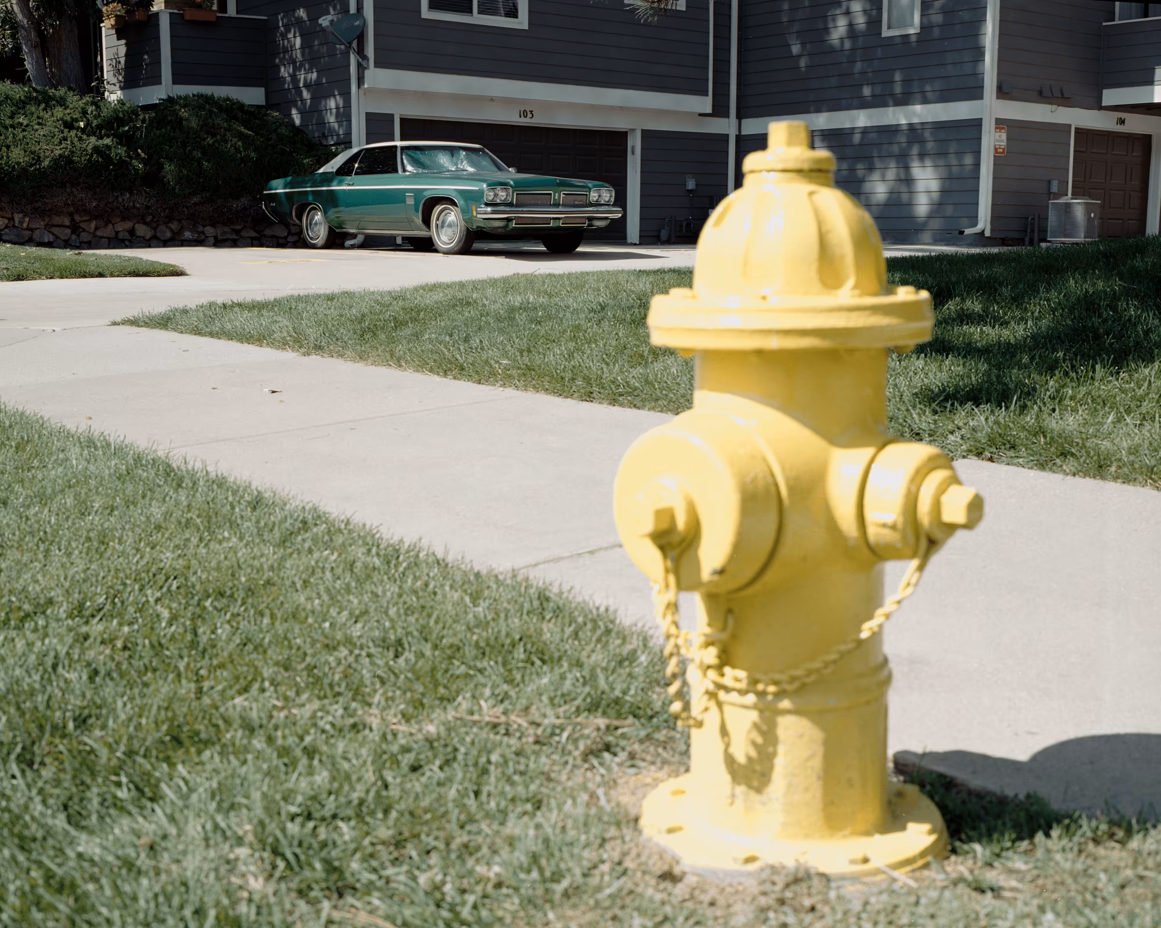 Hidden In Plain Sight #058. Neighborhood Watch