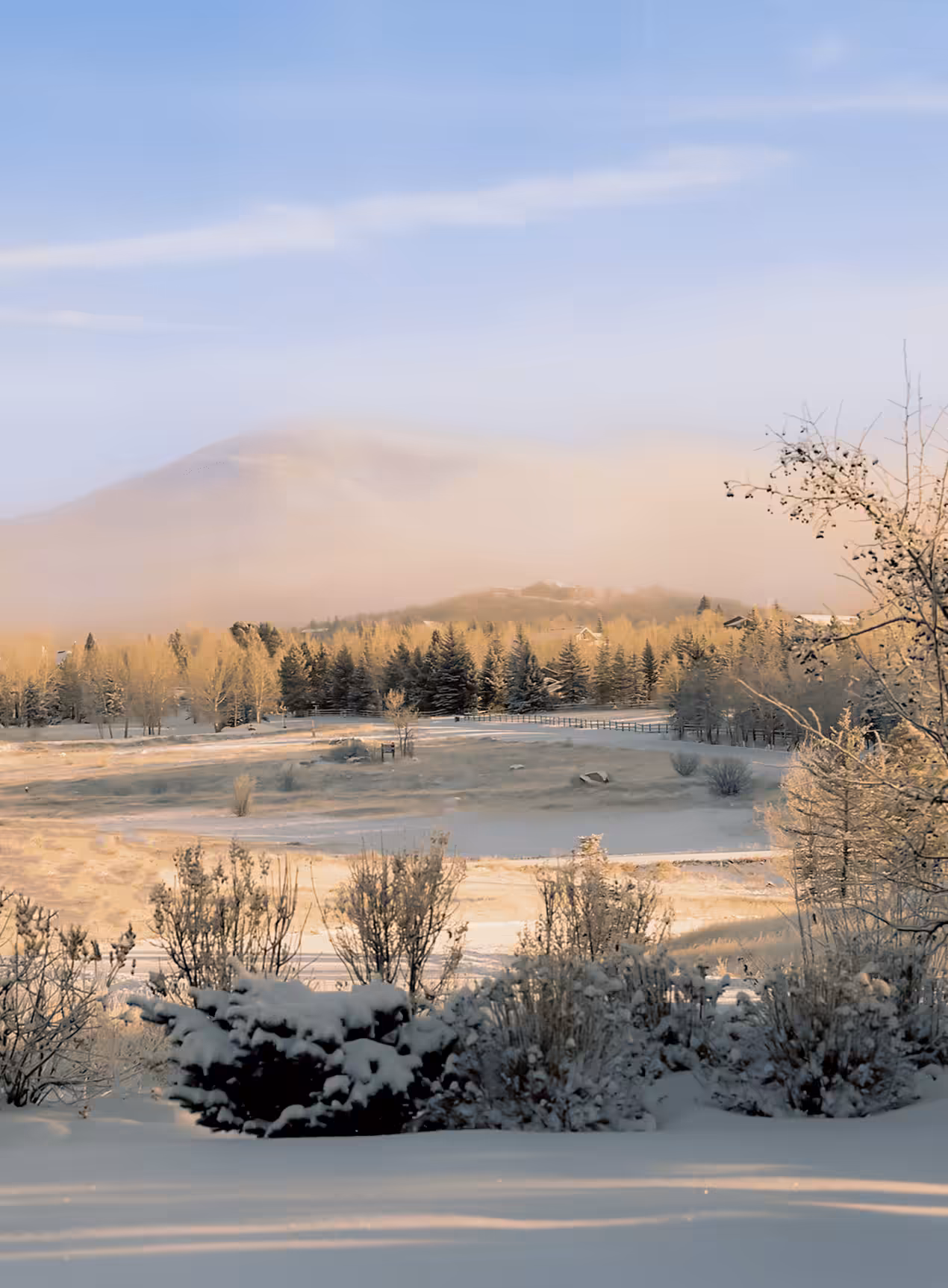 Morning Light