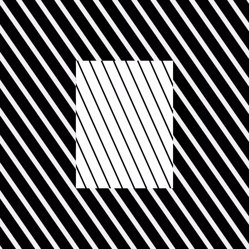 Chromatic dazzle #273
