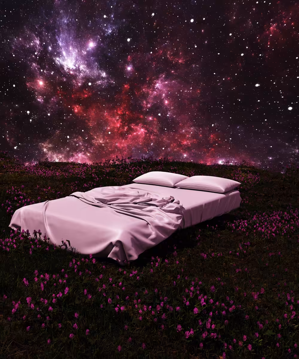 Dimension Sleeper