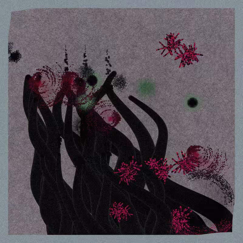 Sea Anemone #123