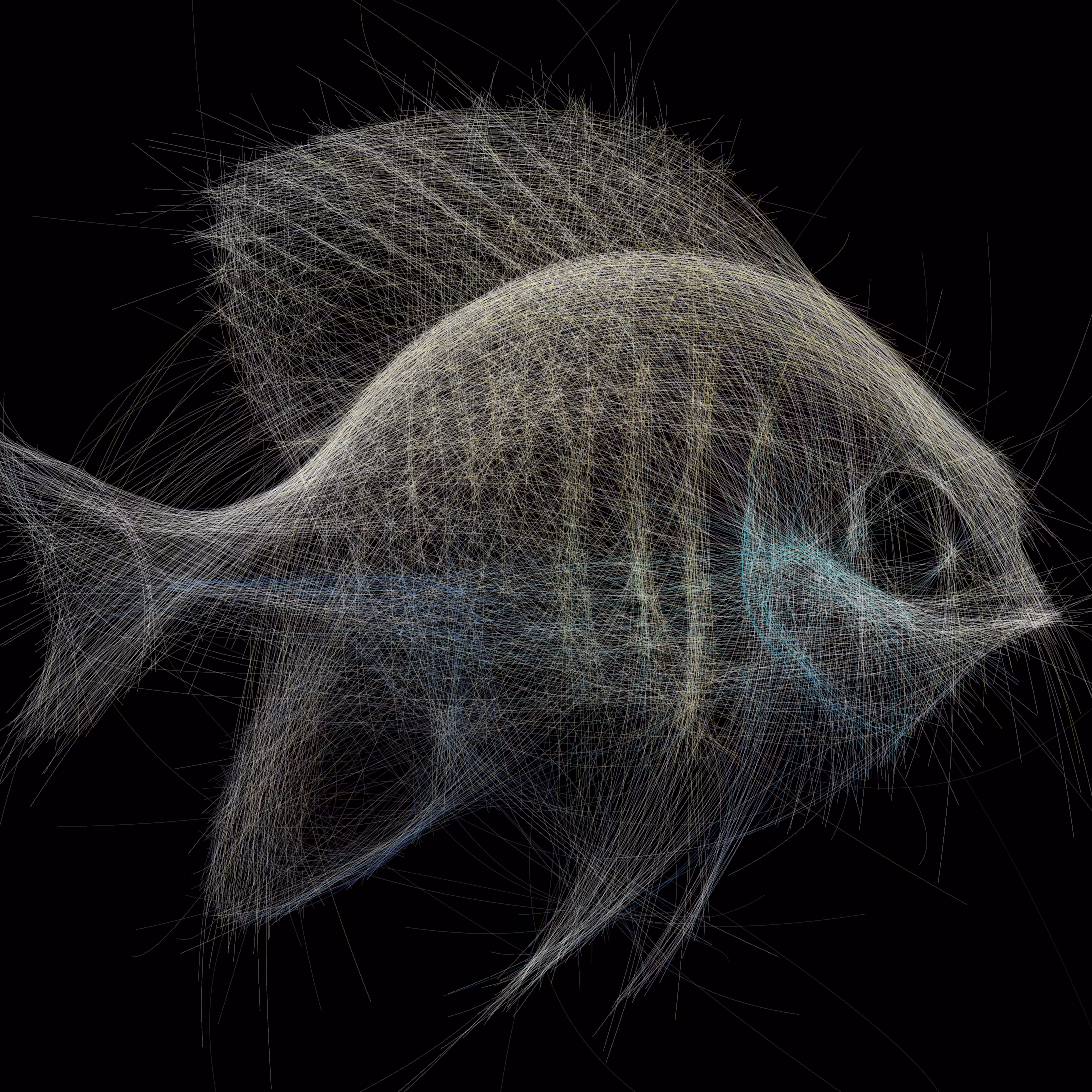 UNDERWATER: Underwater 265