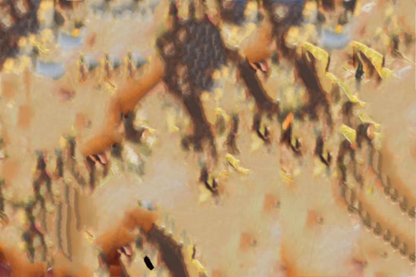 Field of Scorched Screams