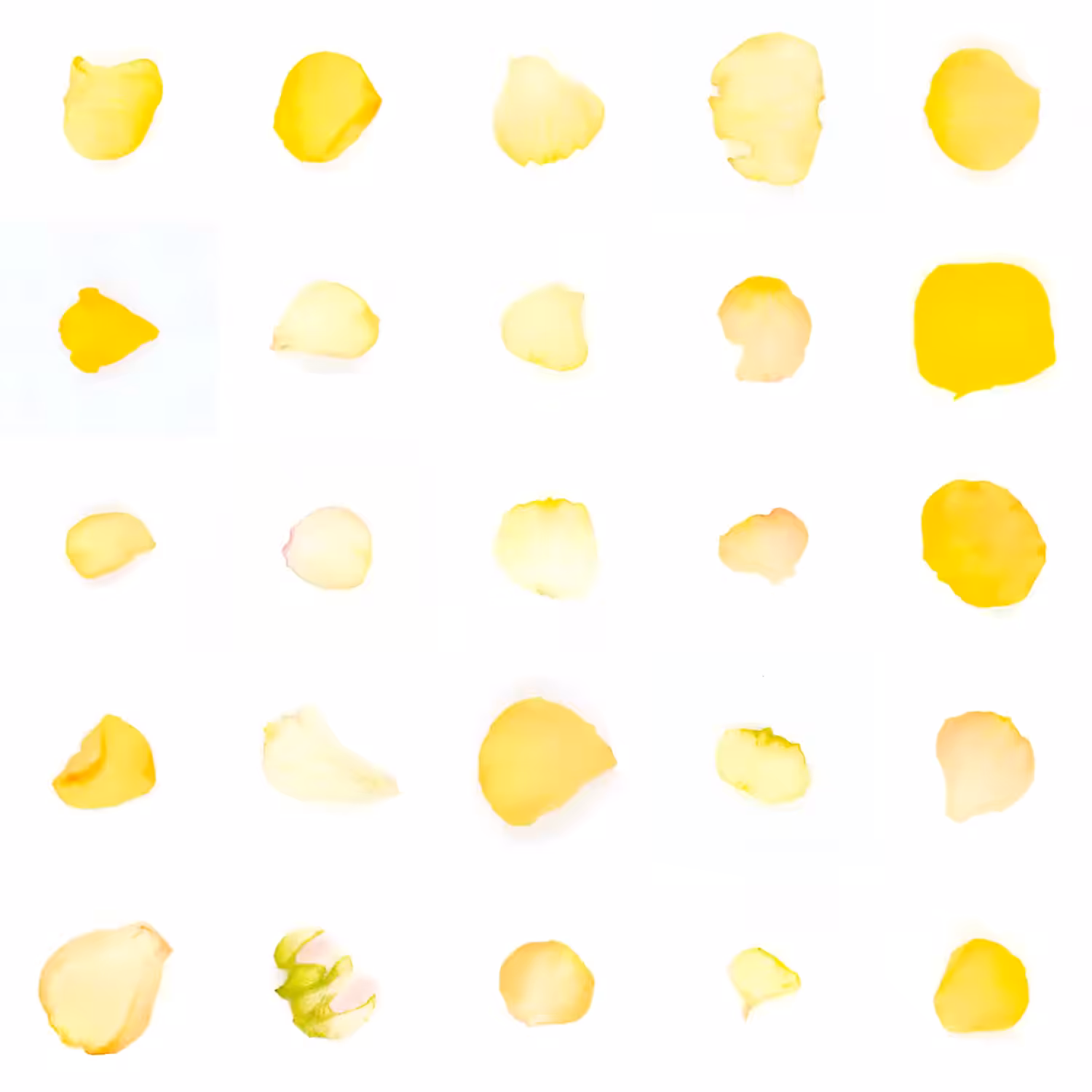 Infinite Petals 5x5#4231