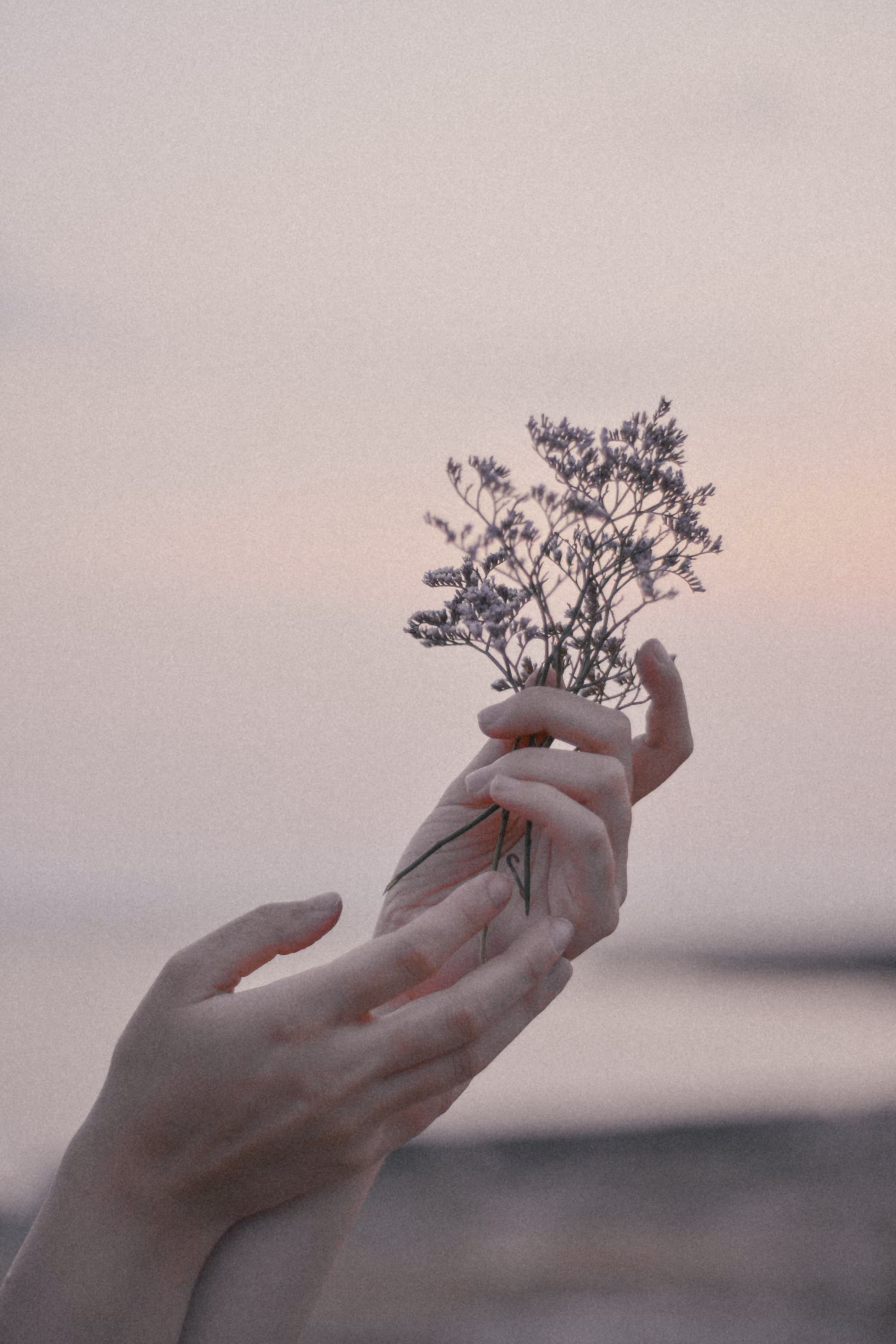 soft touch