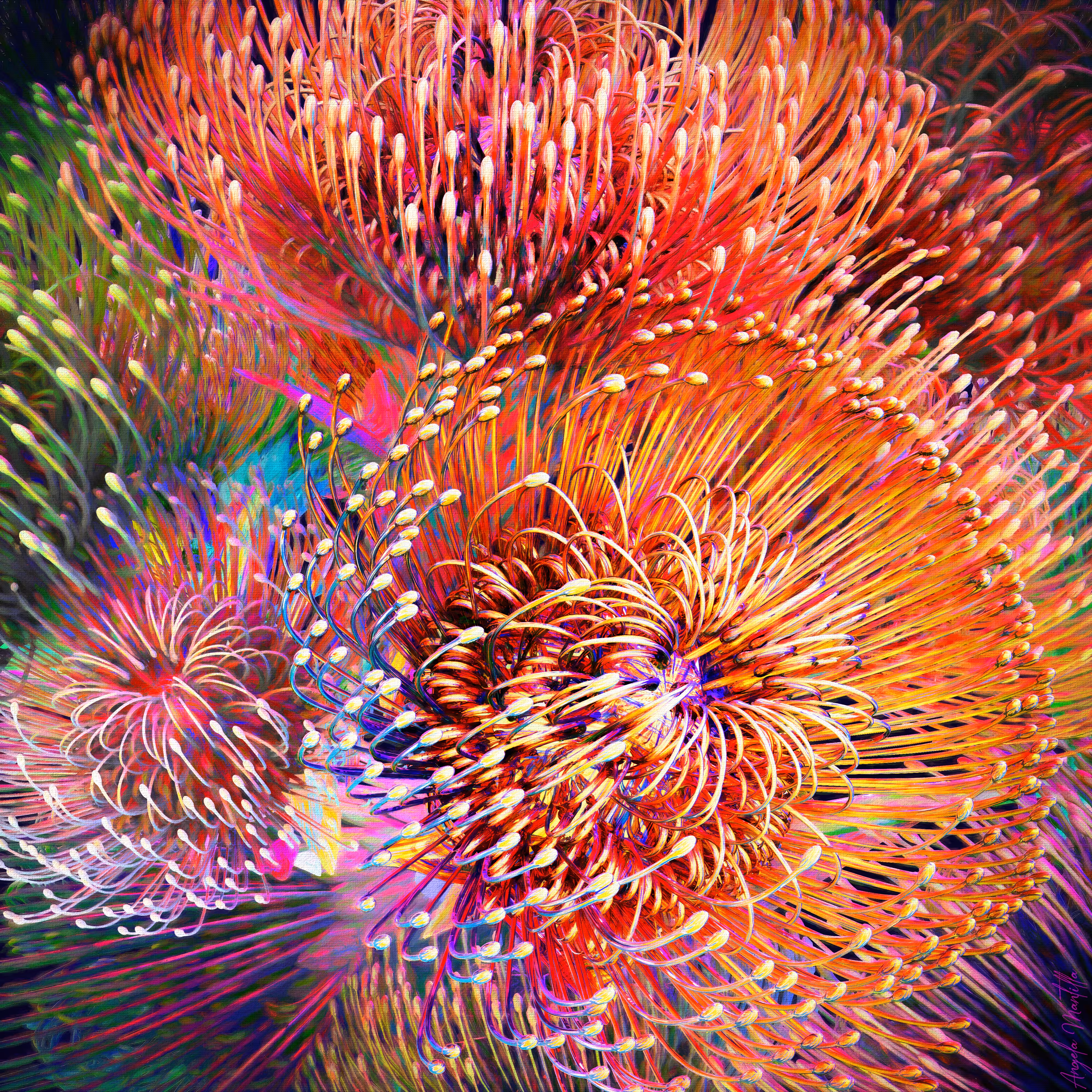 Pyrotechnic Nature