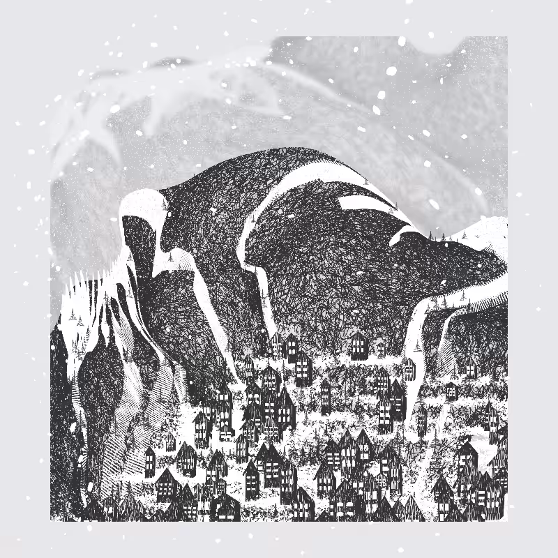 White Mountain Winter #125