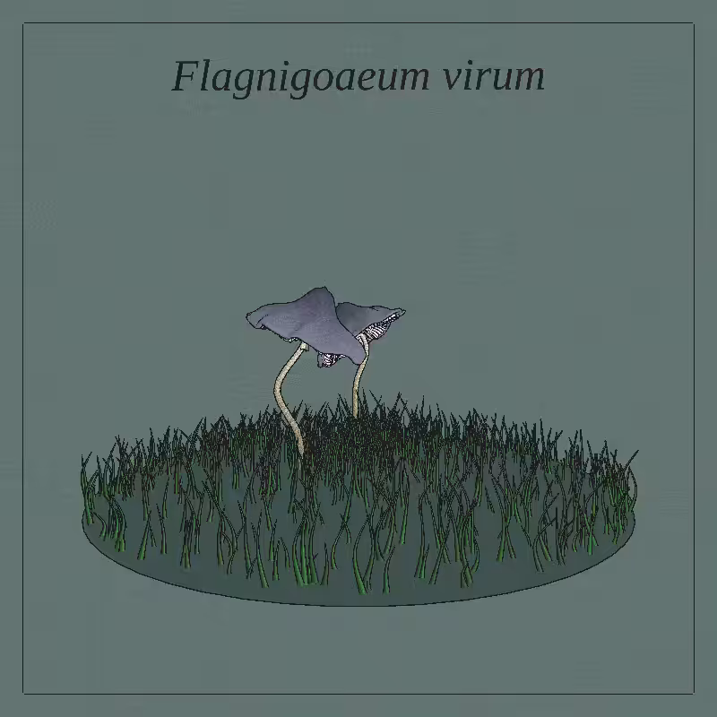 SHROOMS 3D #48