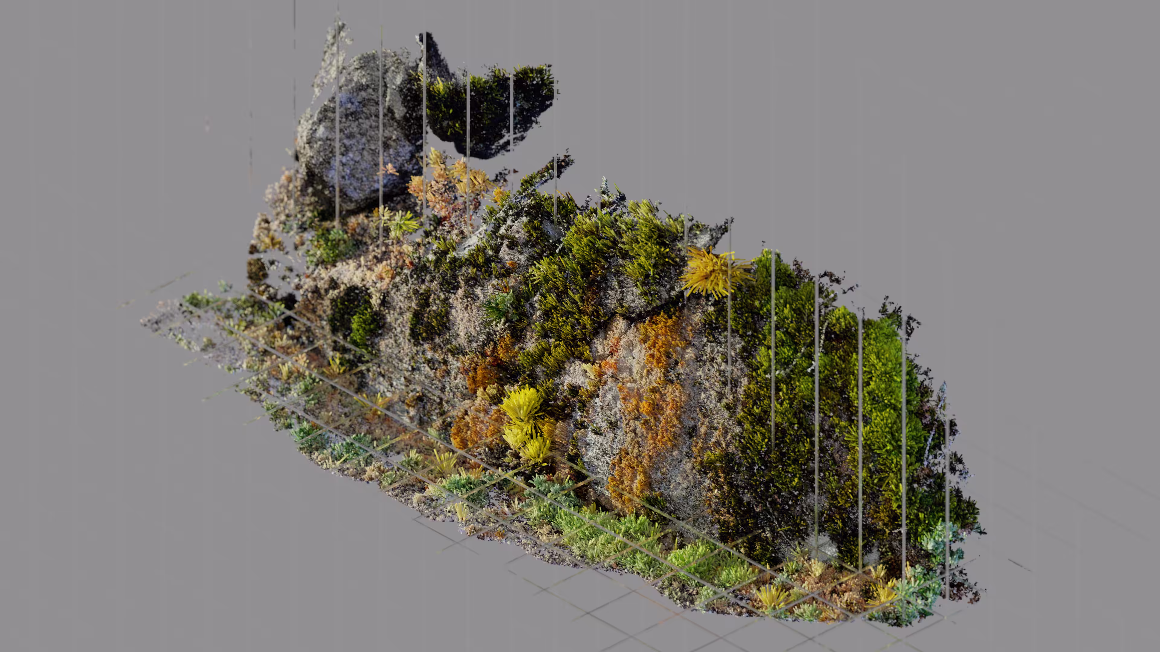 Natural Sundering #1