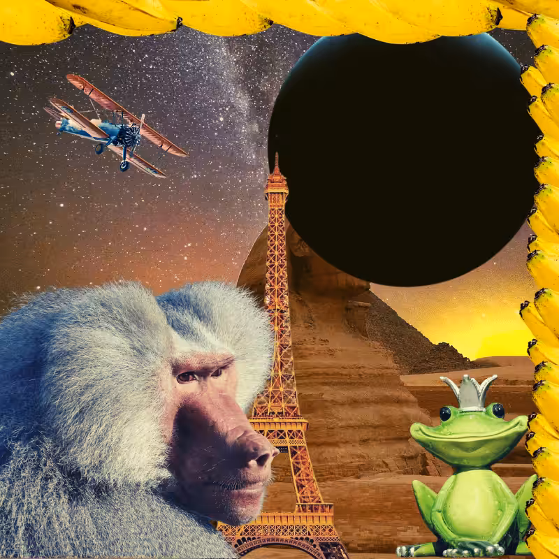 Banana & Pepe on mysterious trips #27