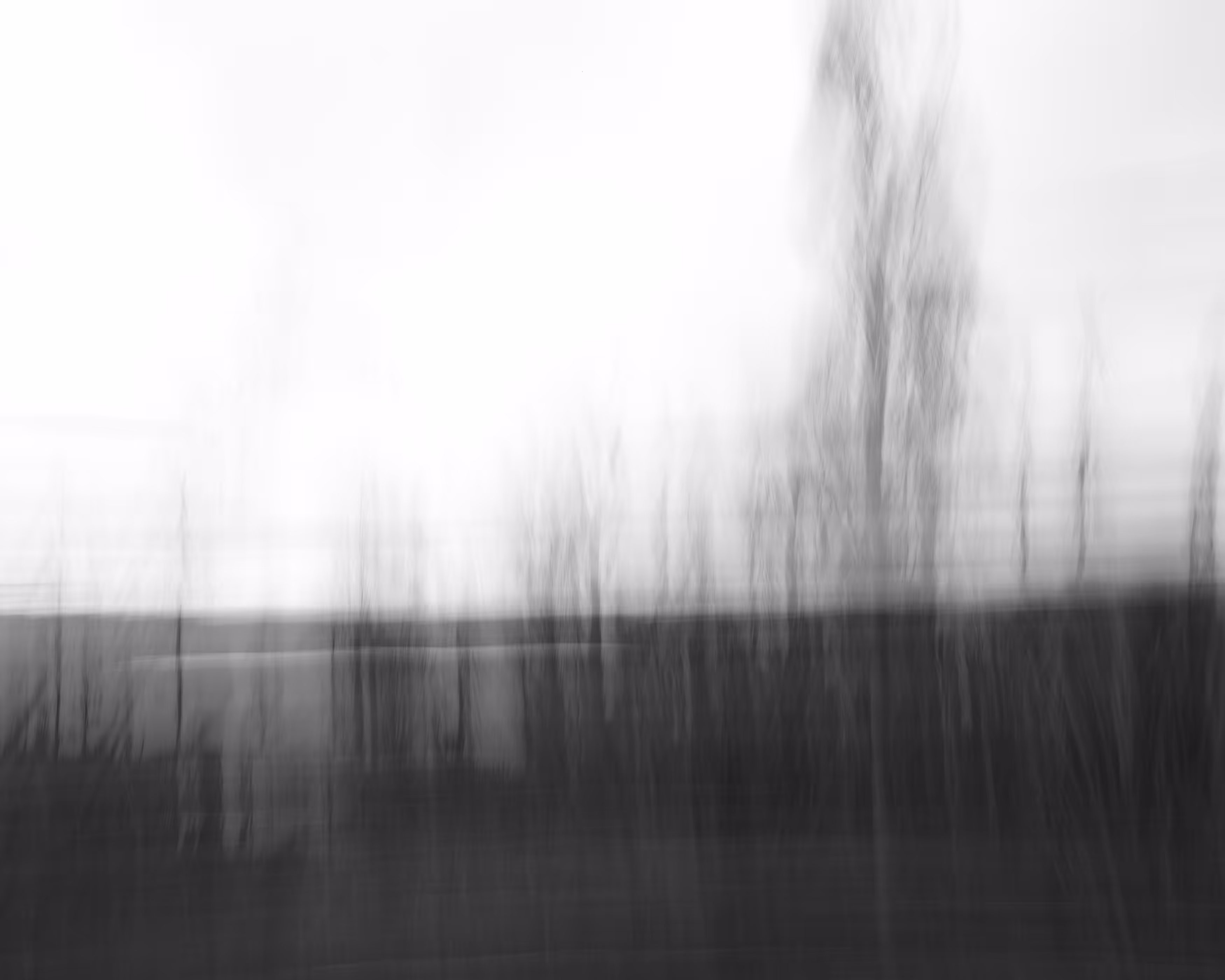 Winterlands