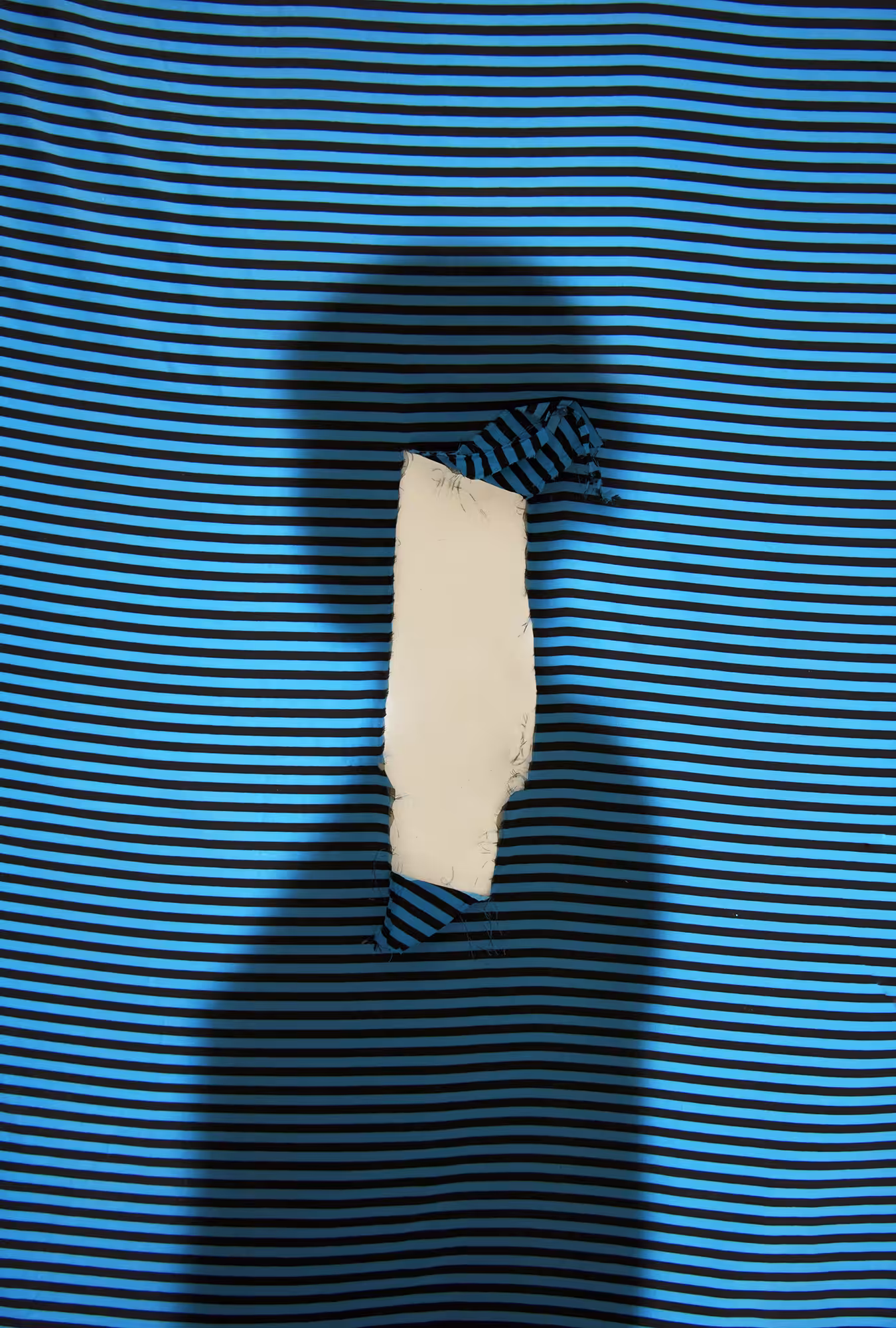 white soul behind blue wings