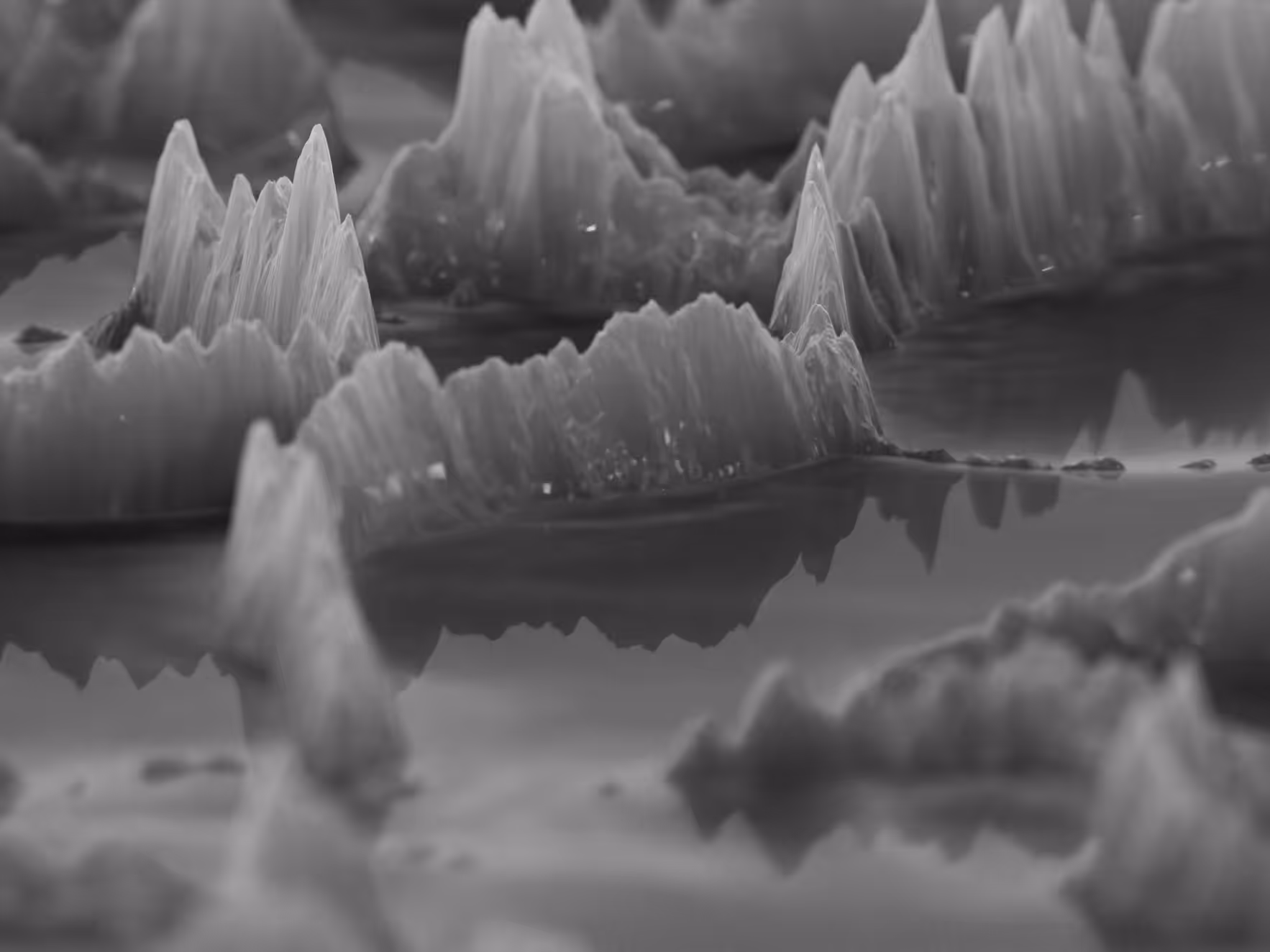 PHYSARUM LANDSCAPE #1