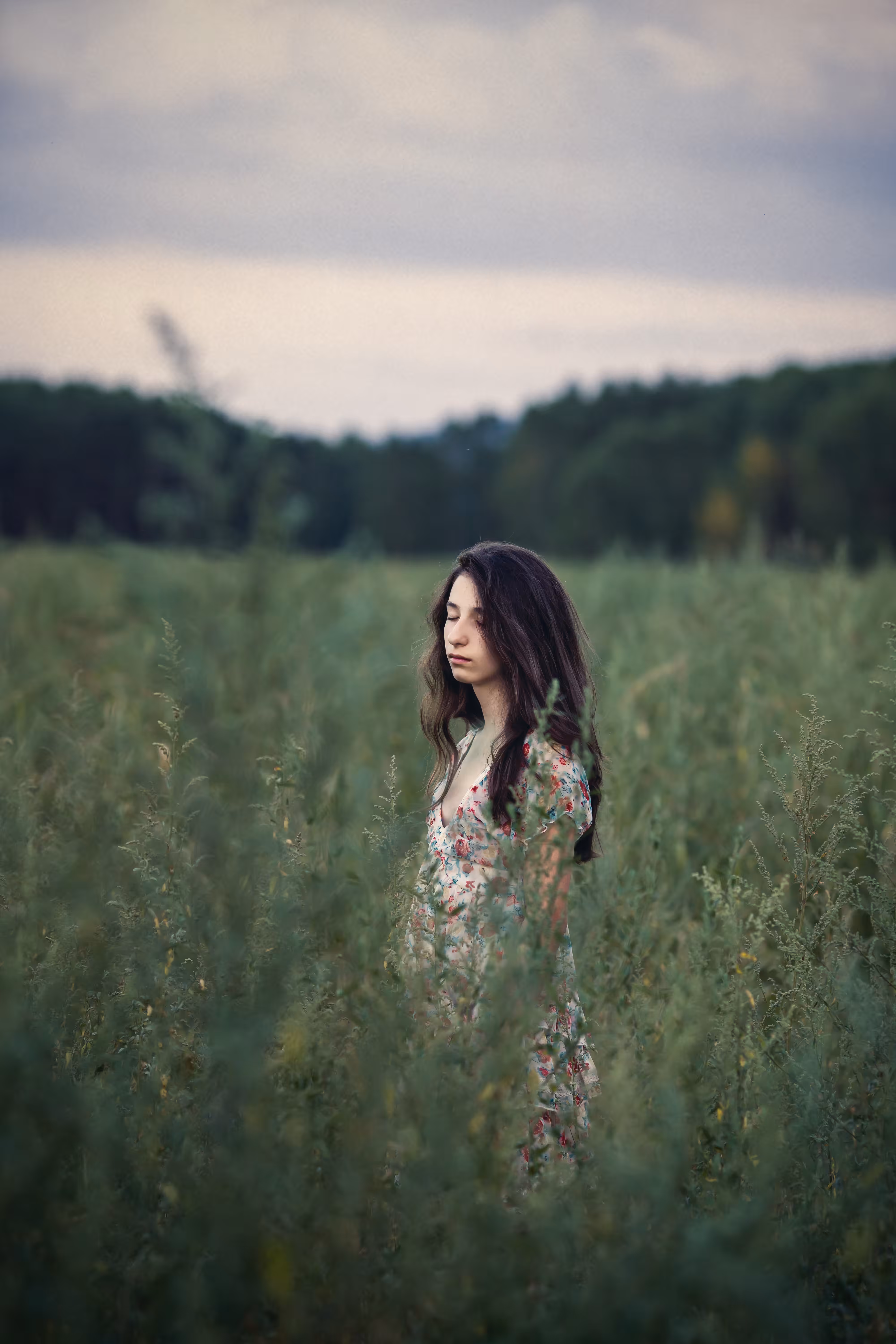 Soul Contemplation