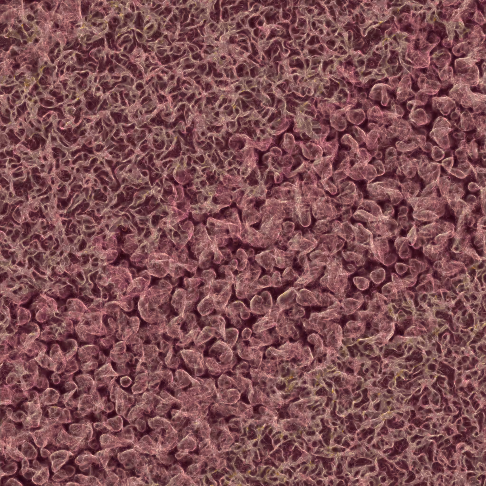 saprophyte #107