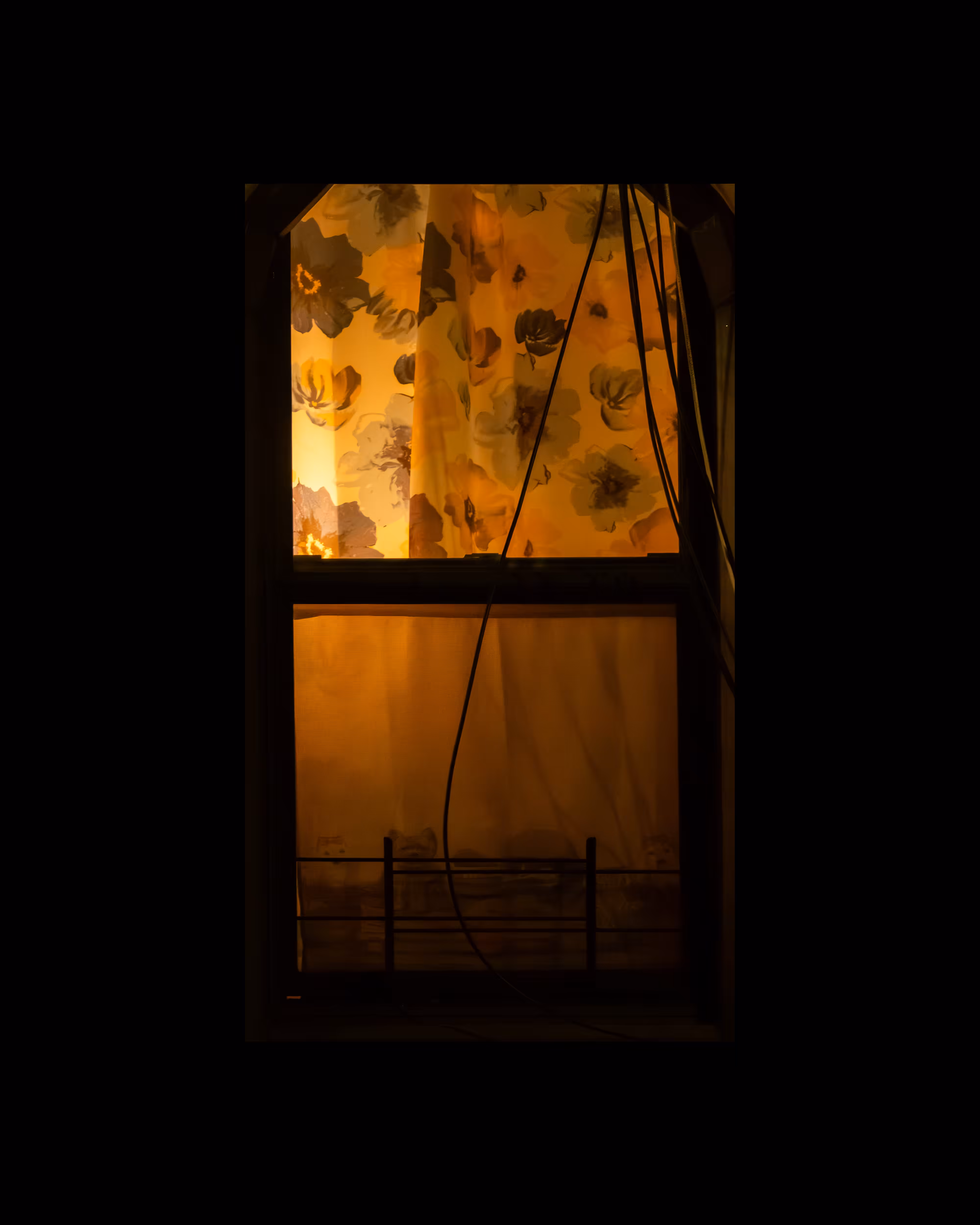 WINDOW 318