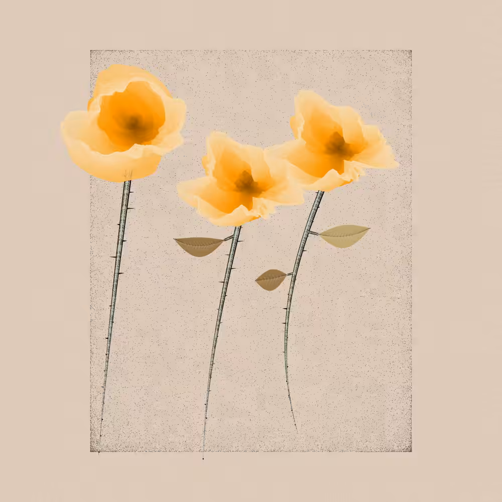 Magnolia #42