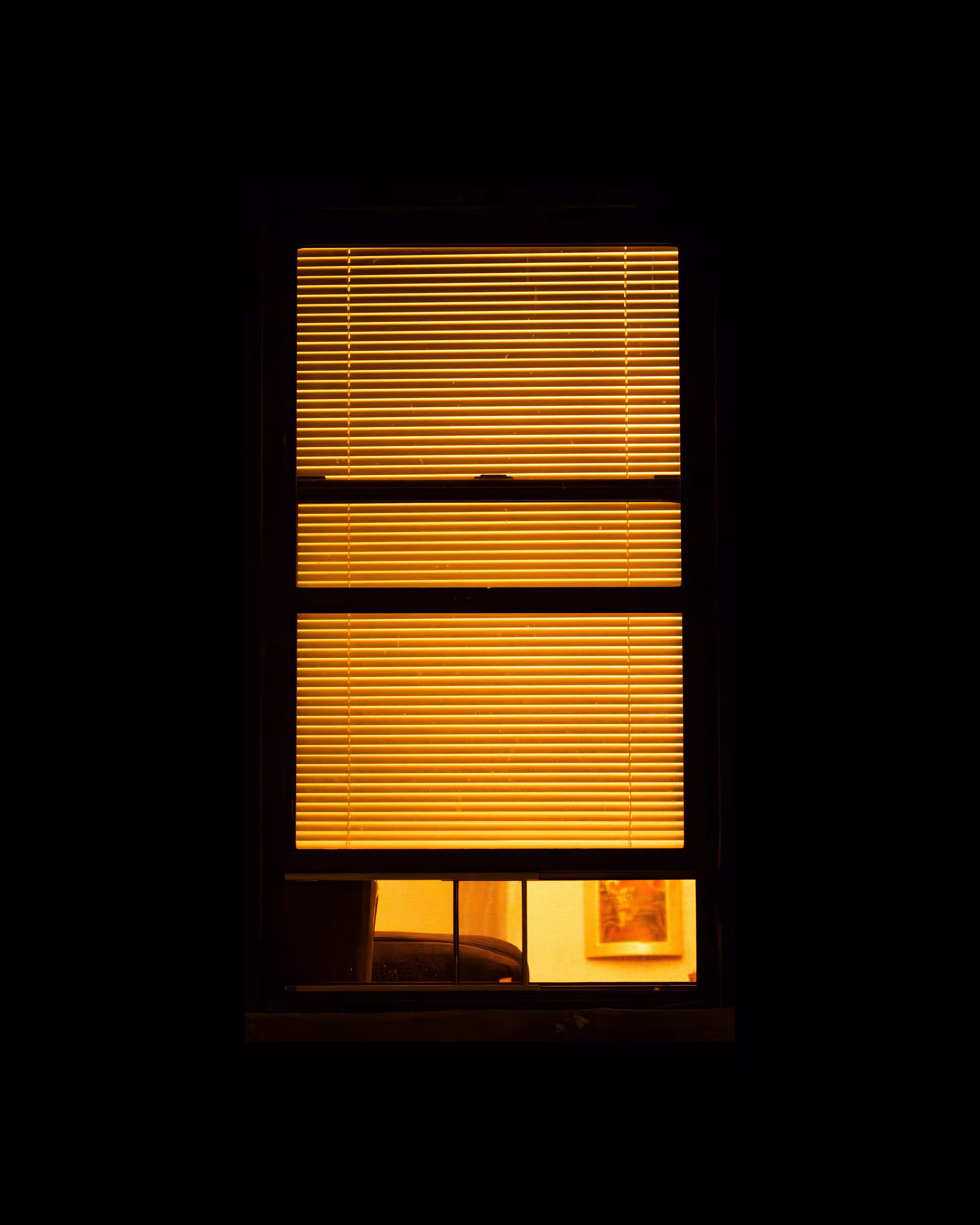 WINDOWS // NYC: WINDOW 119