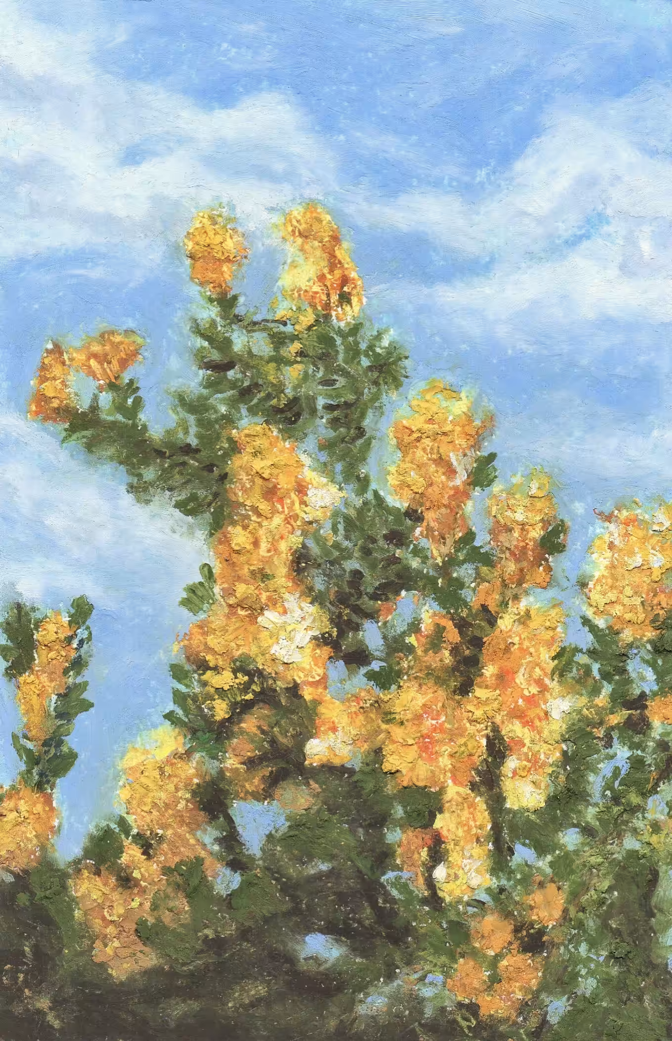 Yellow Flower