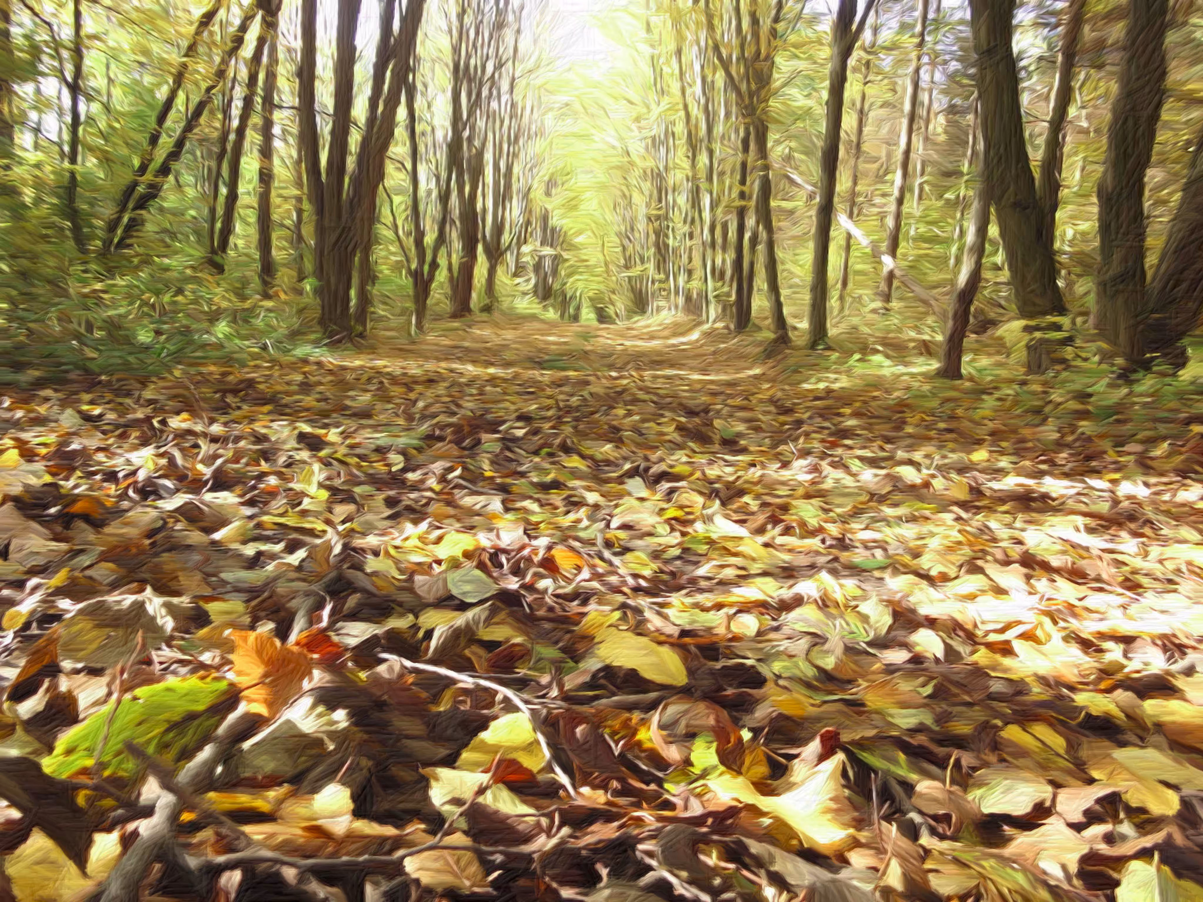 Last Autumn in Ukraine