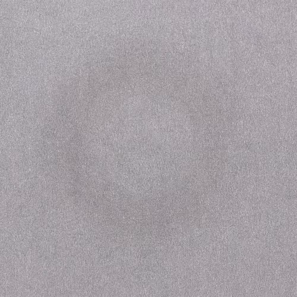 Ensō Water Painting #80