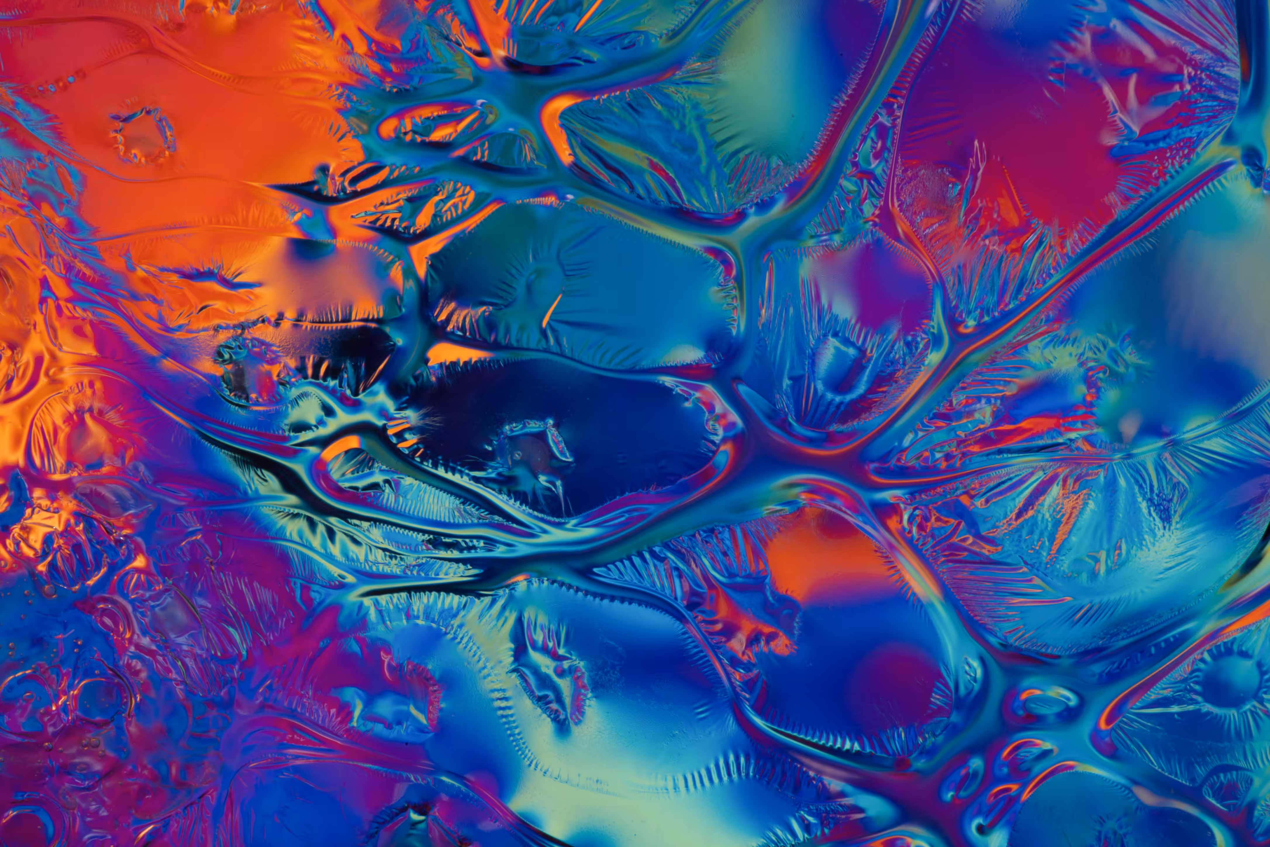 Neurons No.3