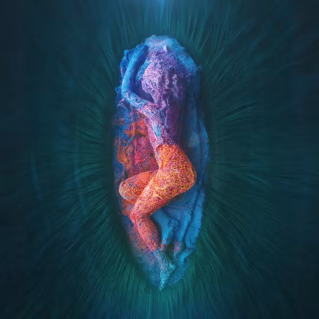 Resting Maenad - Infinite Loop