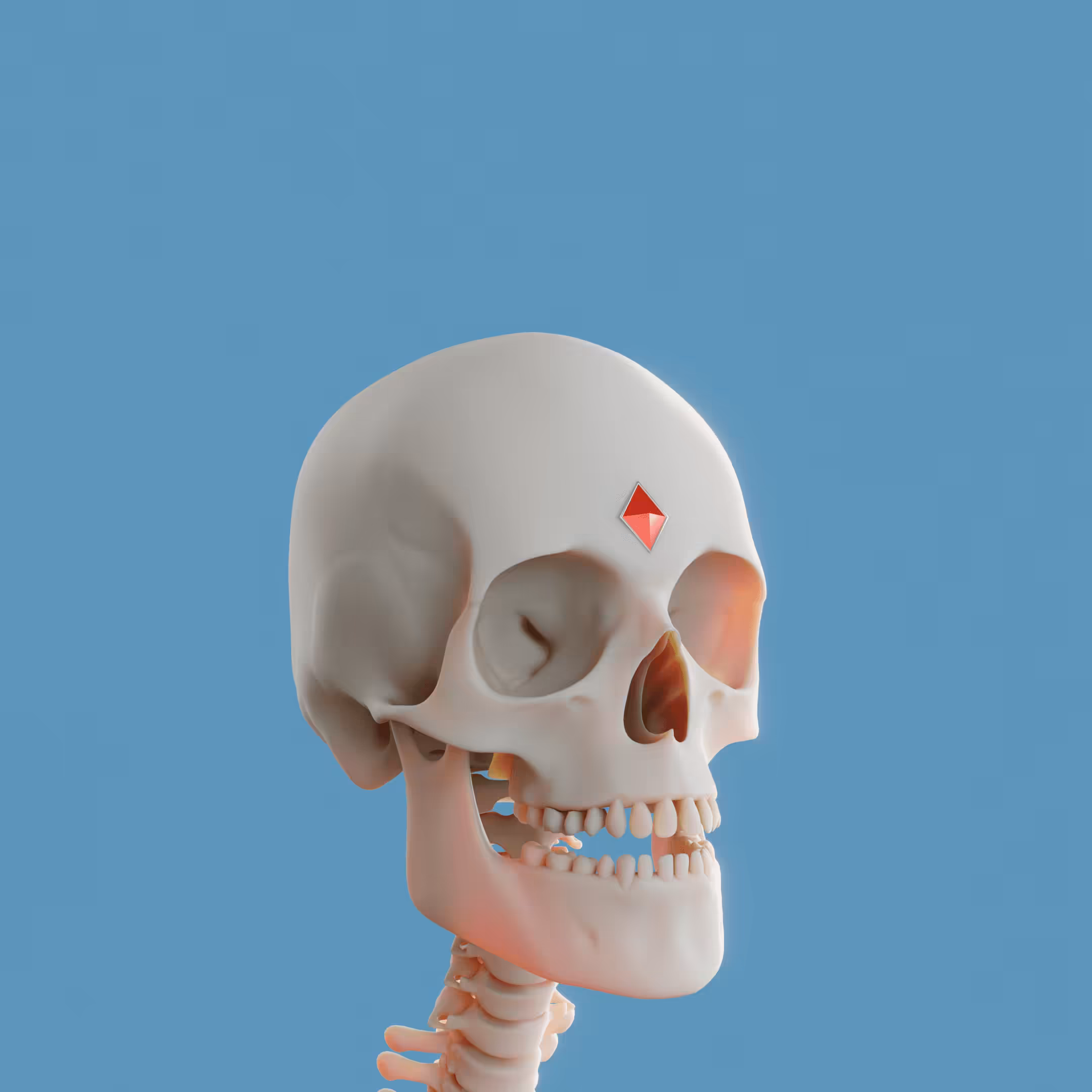 Skull Punk #24