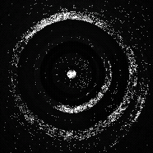 The Annual Rings