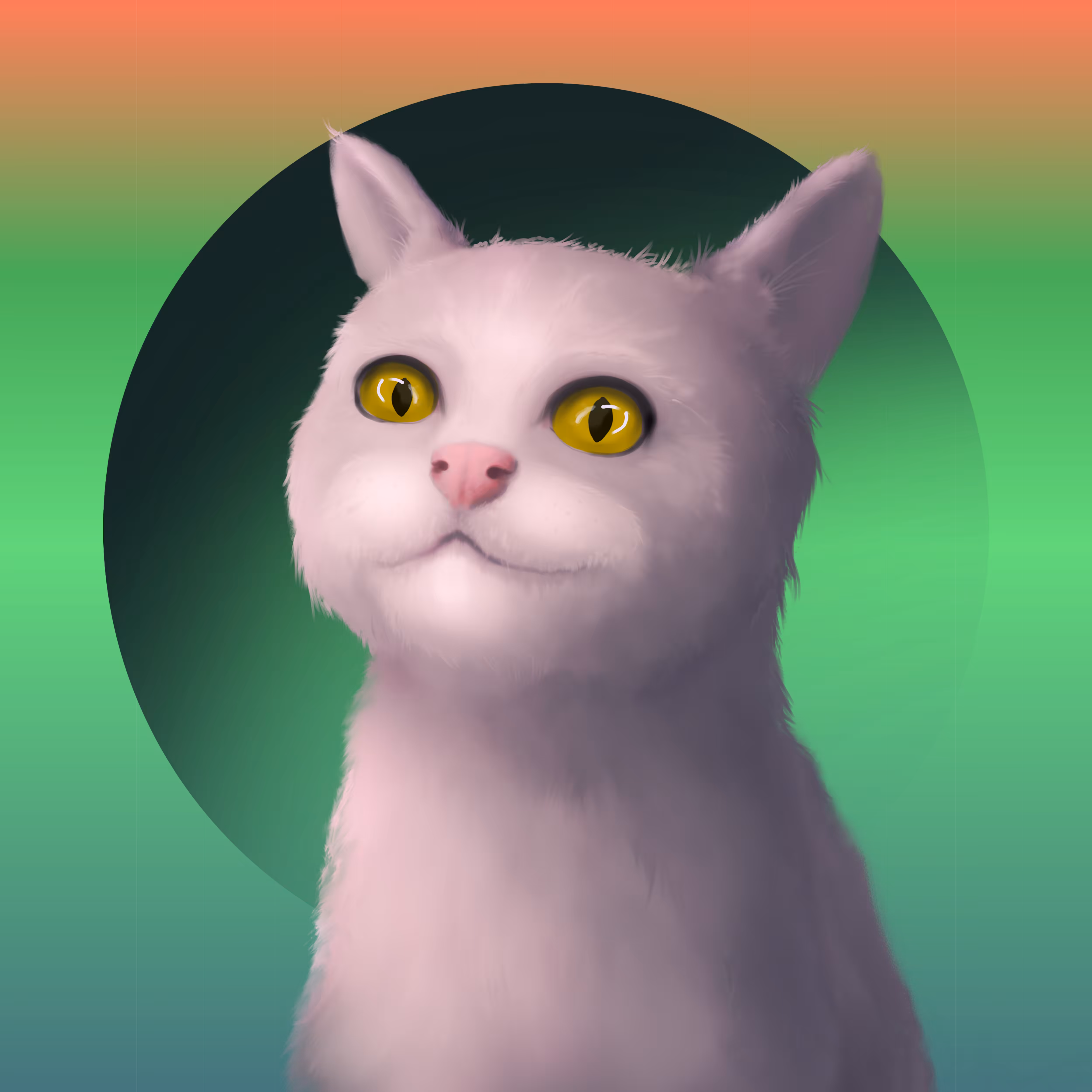Crazy cat #18