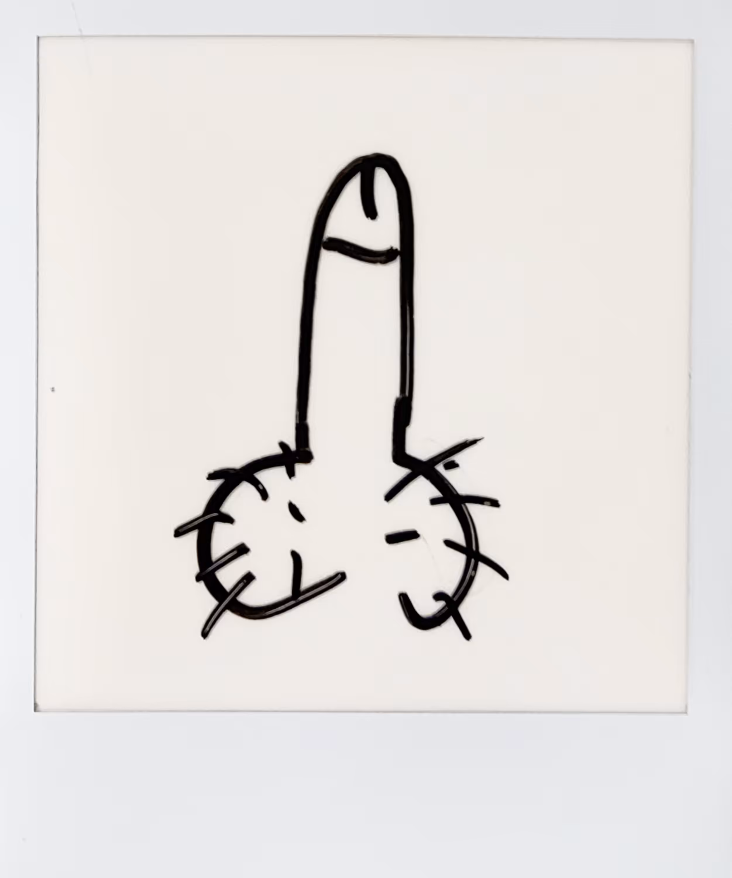 Analog dick pic