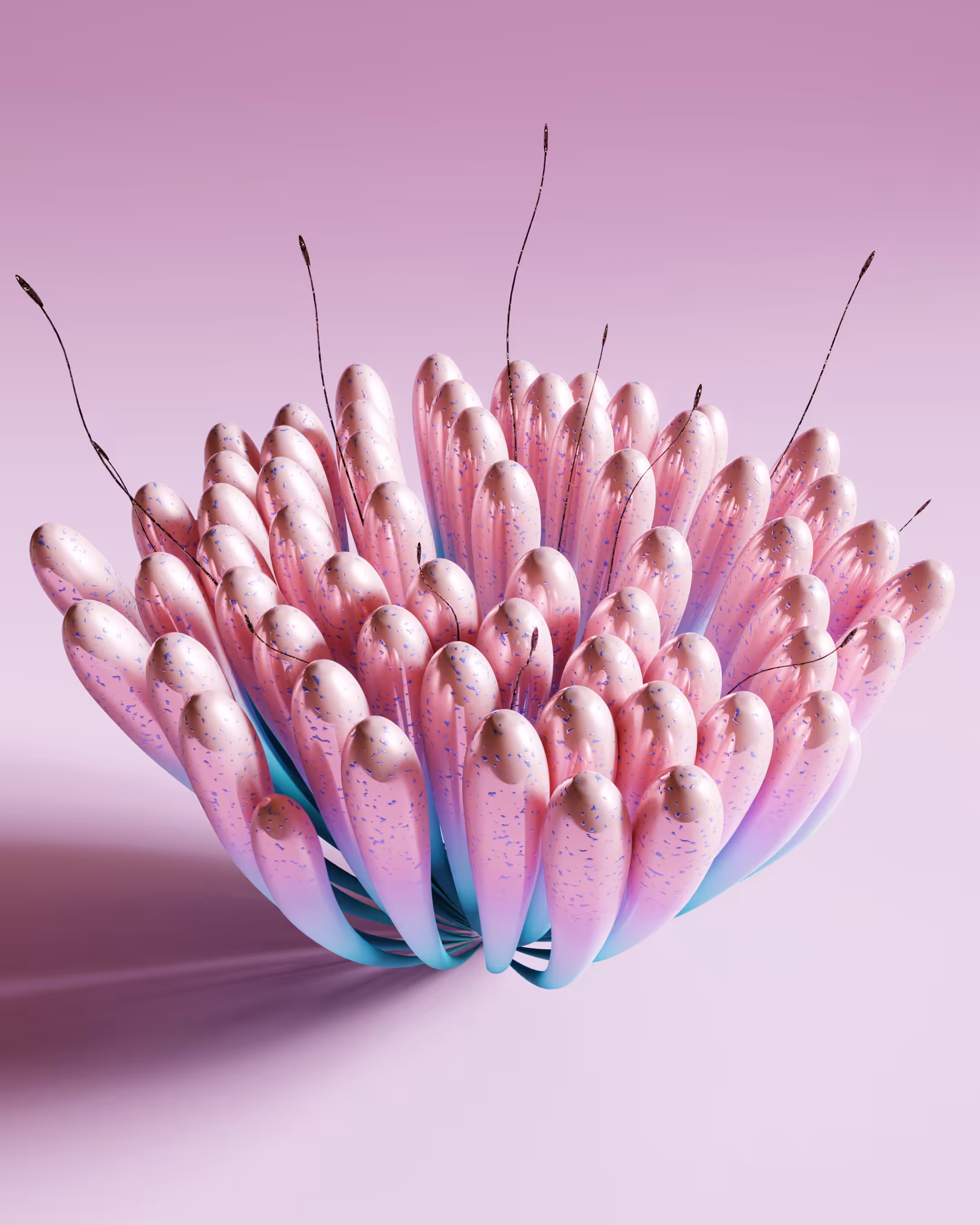 sea.form.001