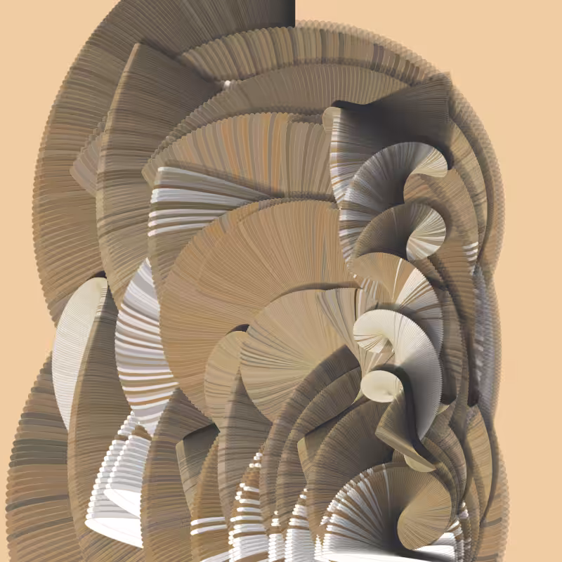 Seashells #66