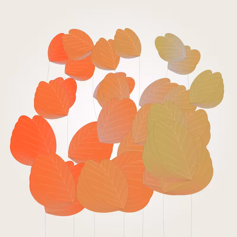 Colorleaves #91