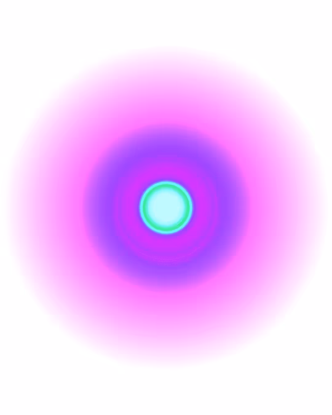 SPECTRUM 205