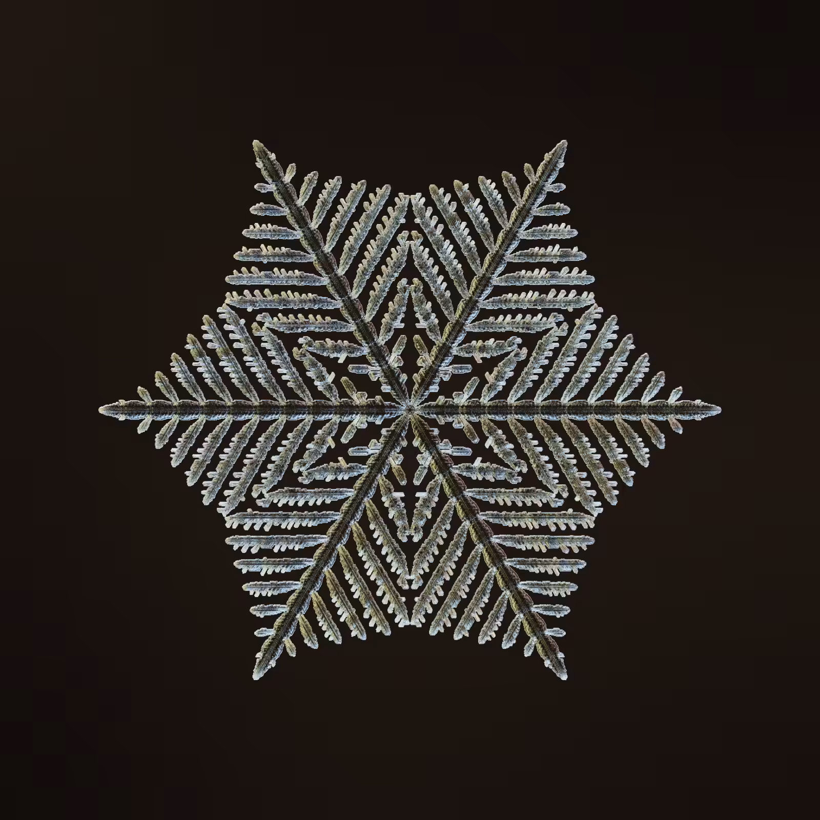 Symmetry and Intricacy #4