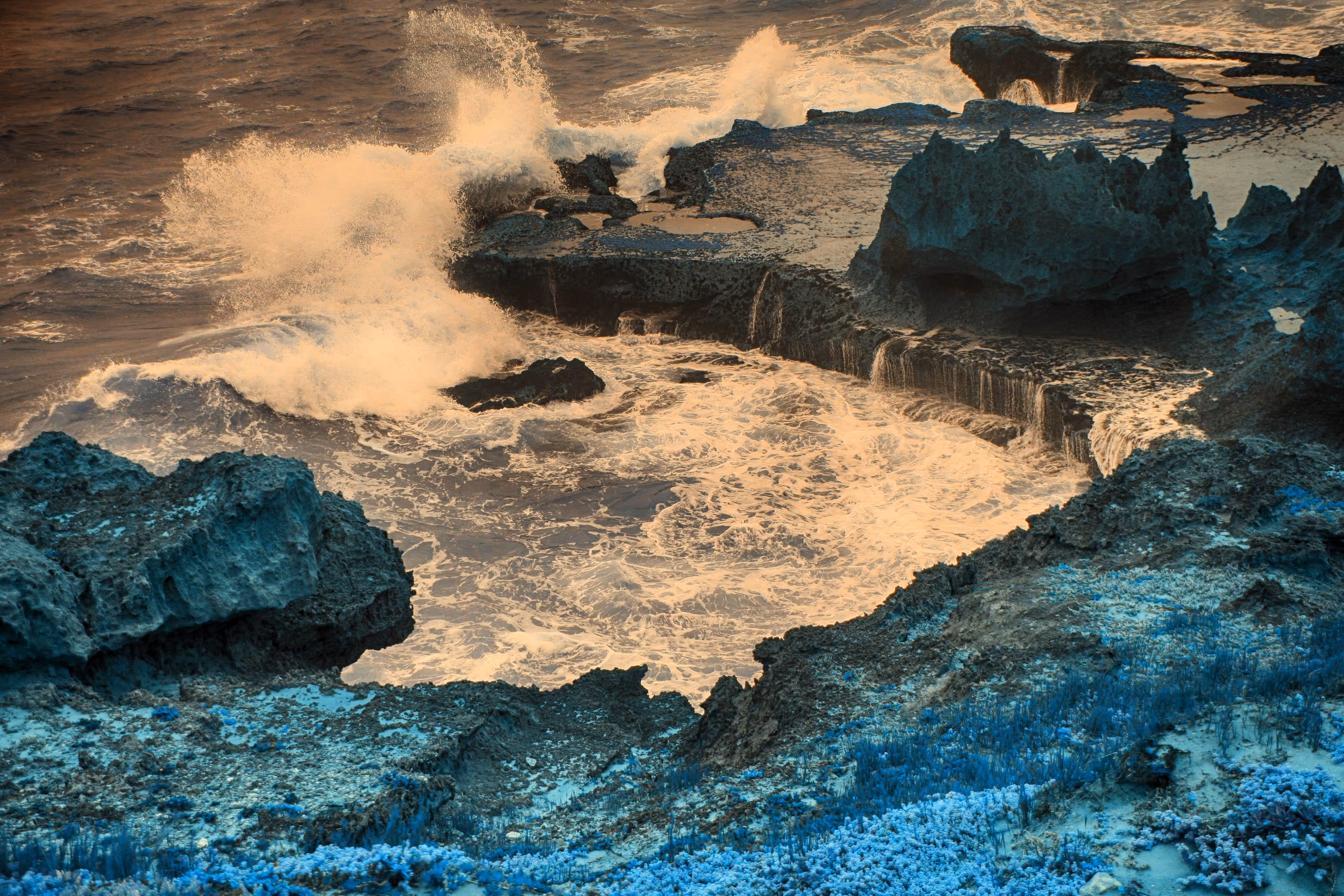 Rodeo posts: Seafield #1